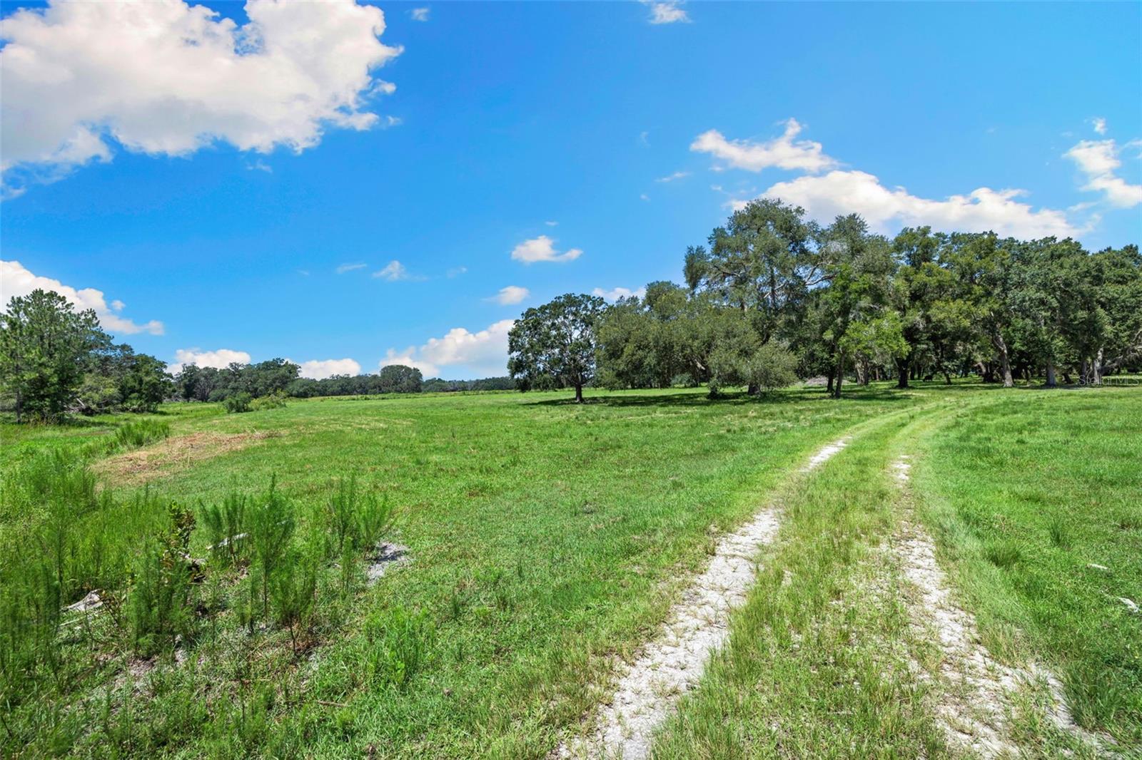 ACREAGE - Residential