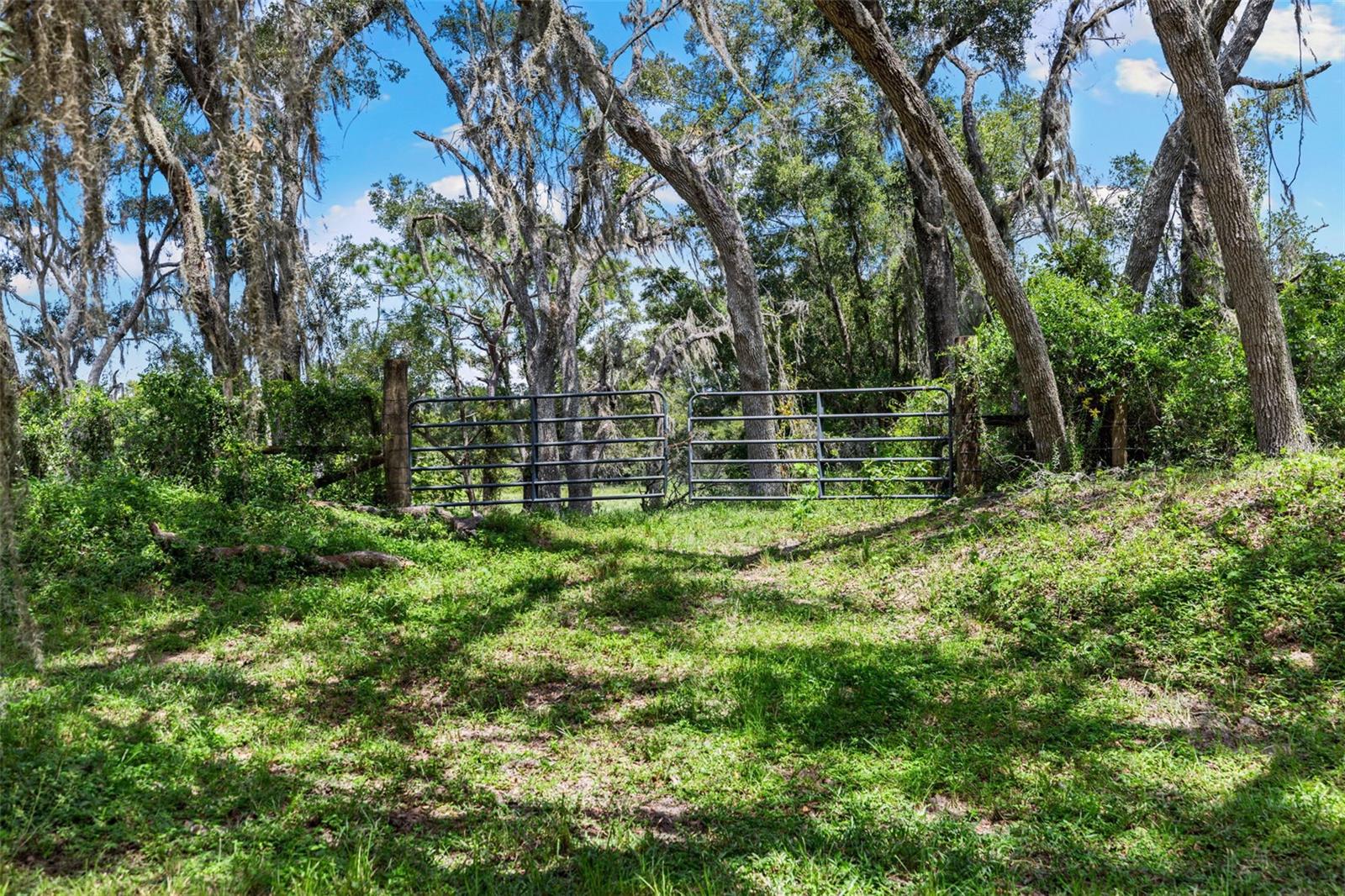 ACREAGE - Residential