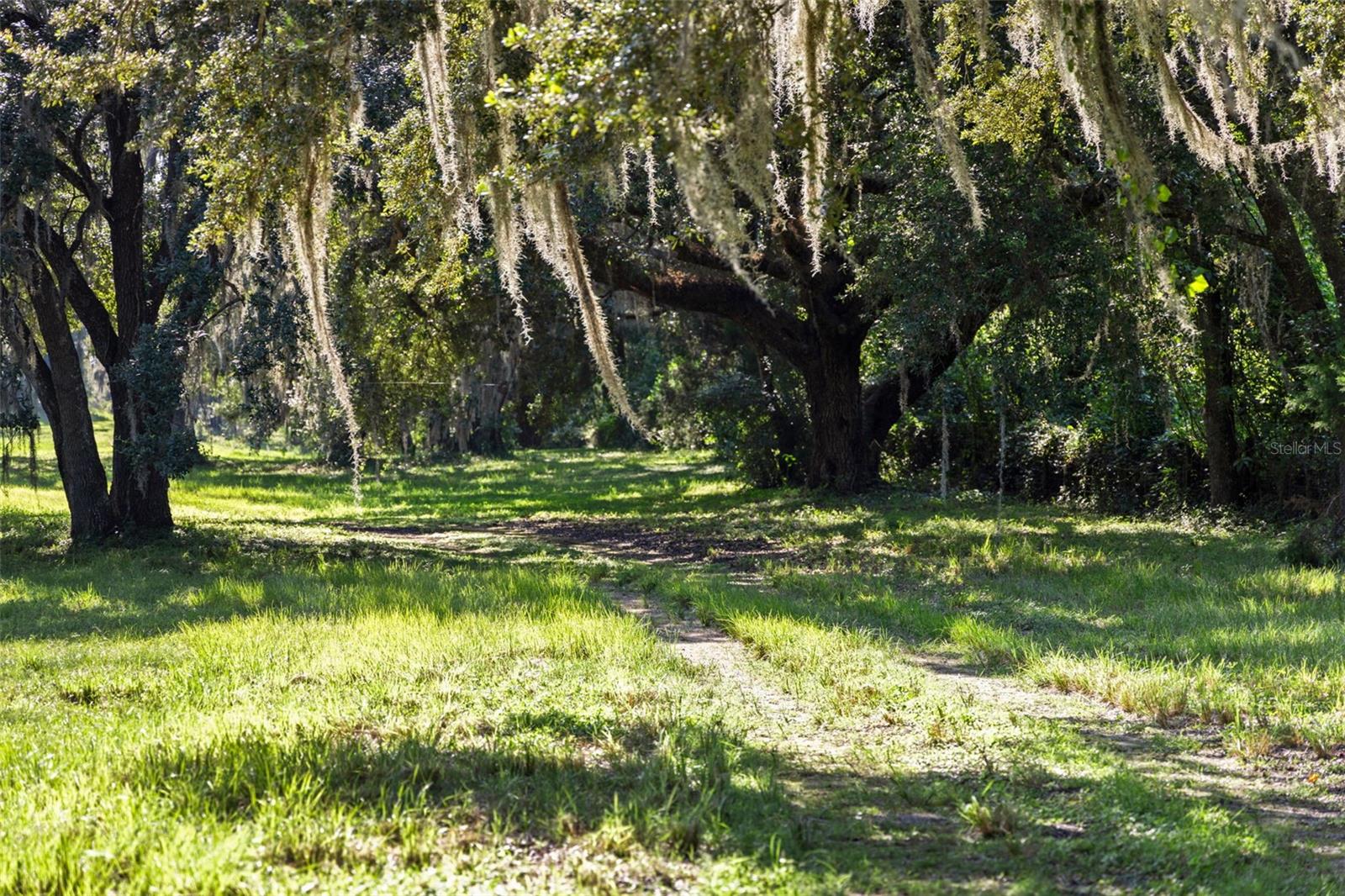 ACREAGE - Residential