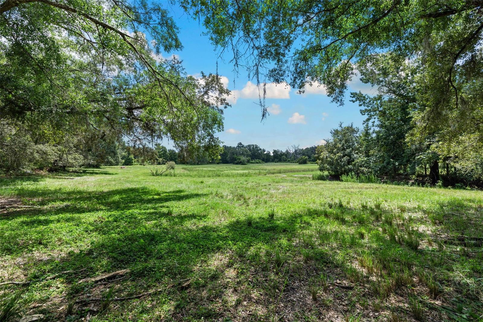 ACREAGE - Residential