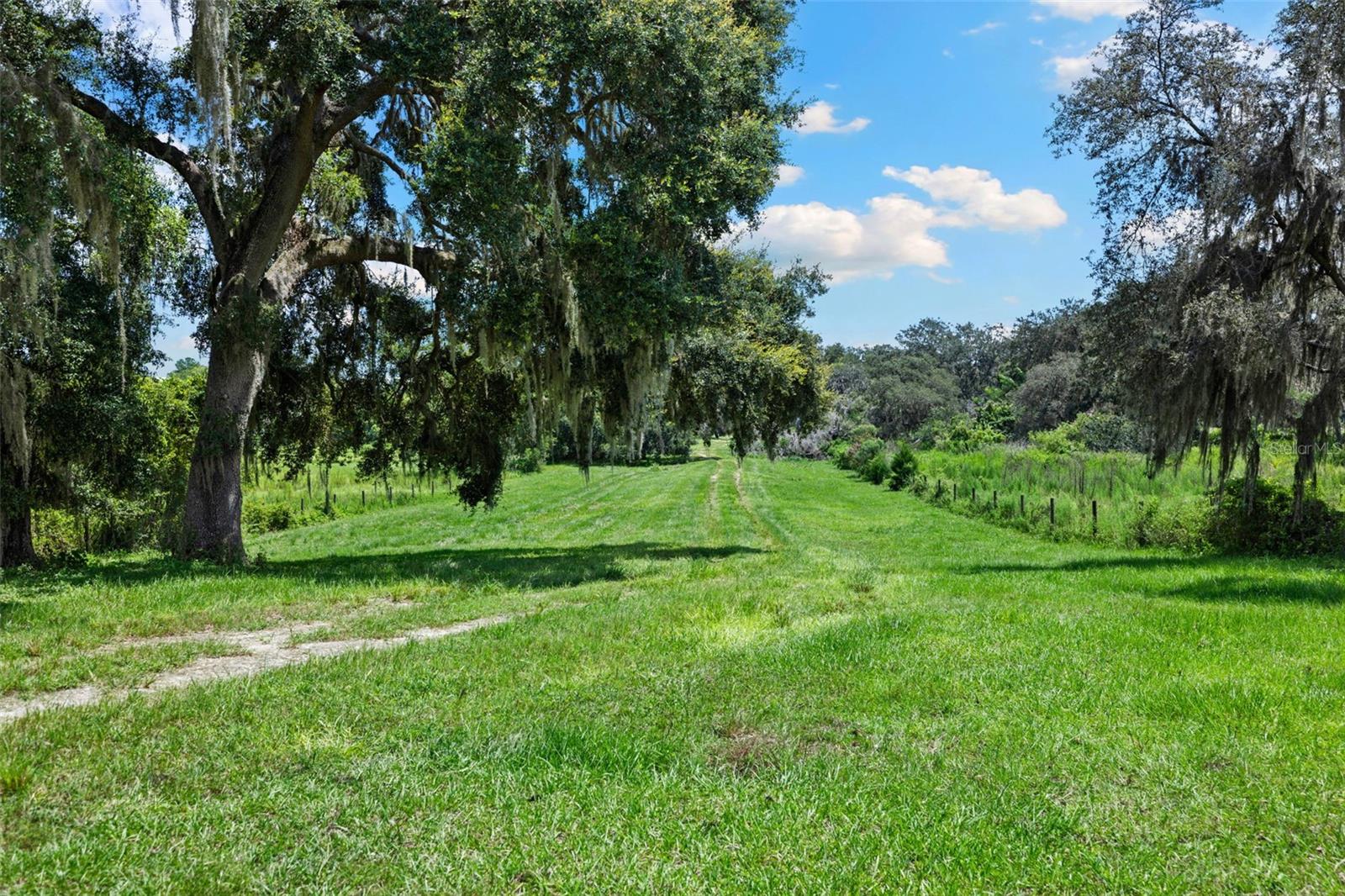ACREAGE - Residential