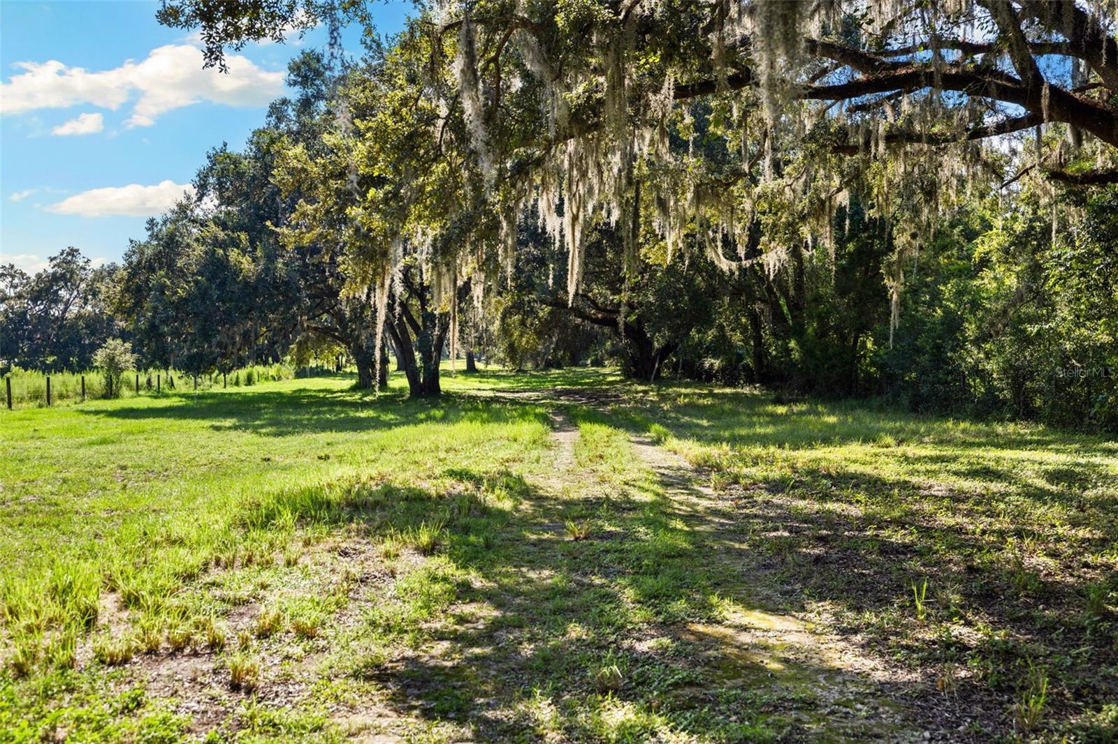 ACREAGE - Residential