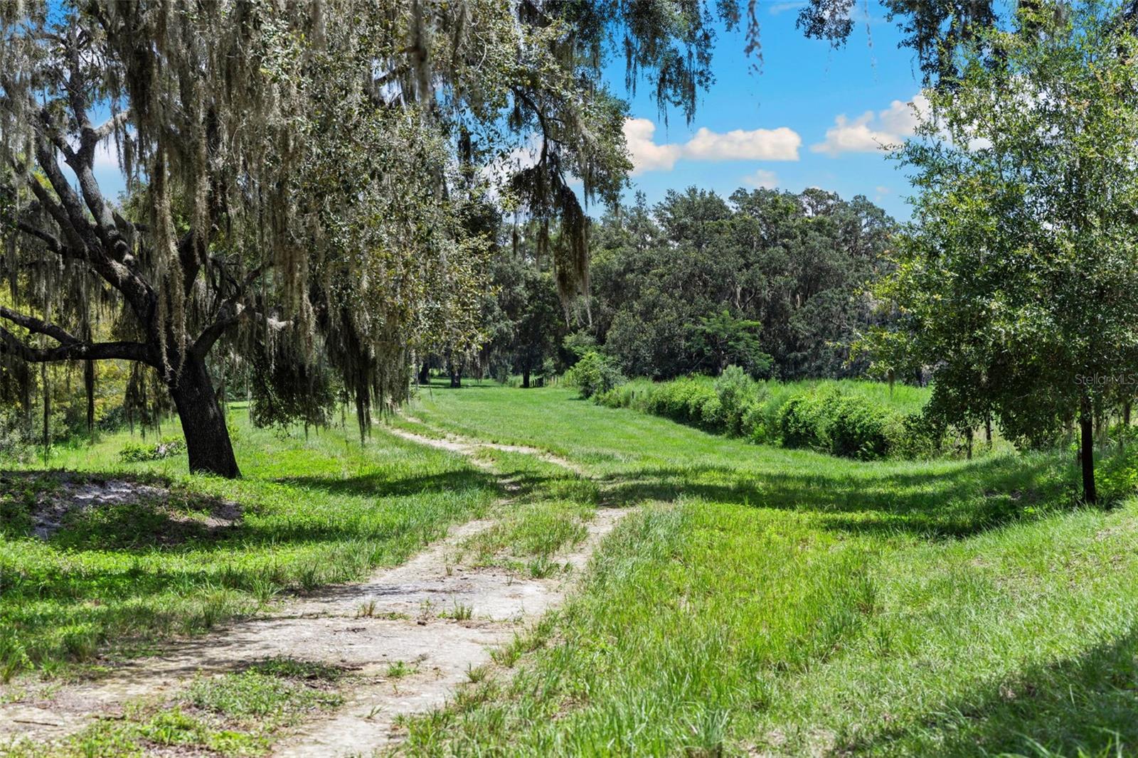 ACREAGE - Residential