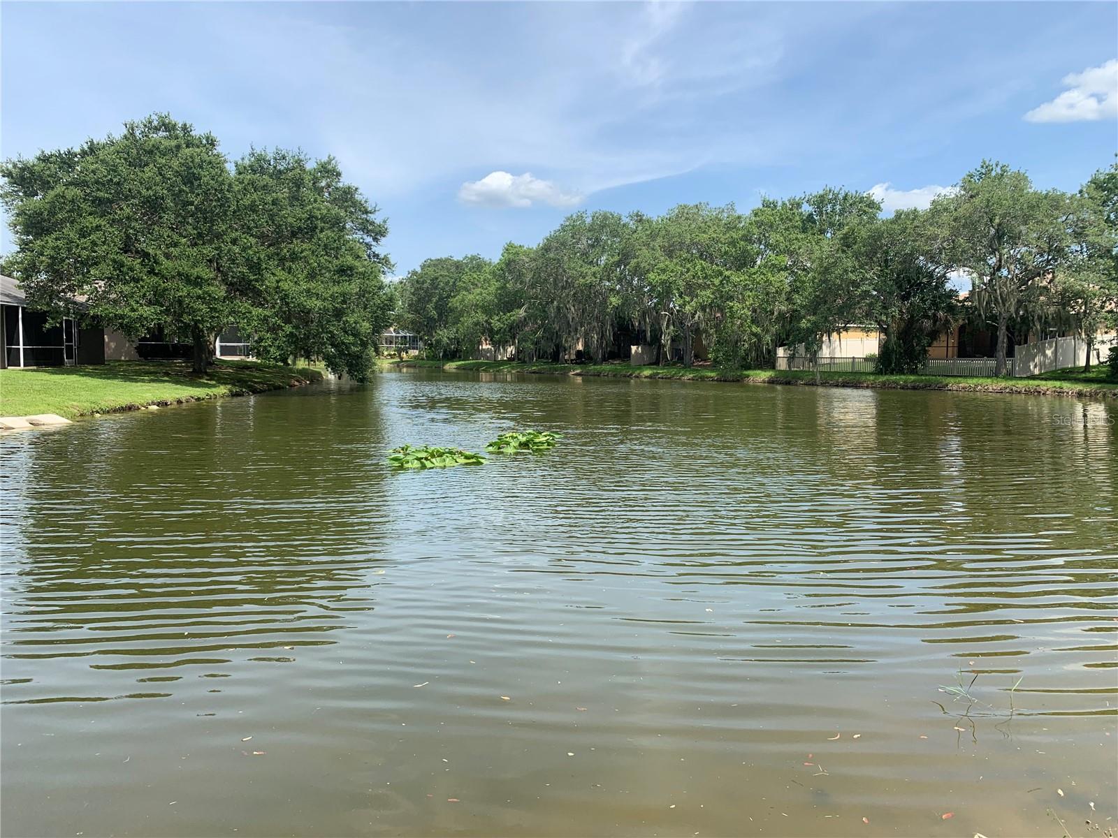 COLONIAL OAKS - Residential Lease