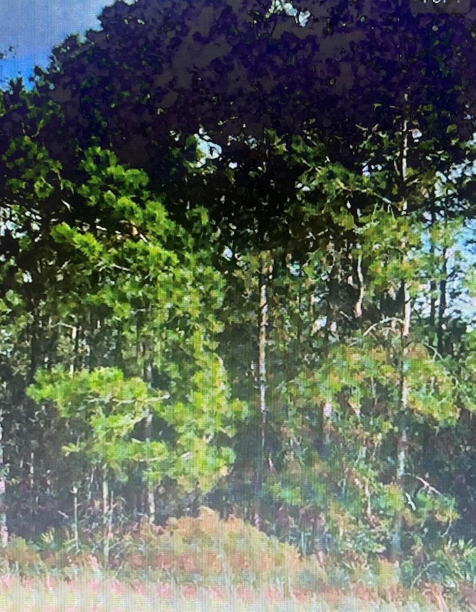 This is a must see Property!  Enjoy the peace with this 5 acres Countryside Parcel, surrounded by Nature. Ideal for Livestock, Gardening, Hobbies, or a Future Custom Home, Minutes to Restaurants and Shops. Interstate access is for easy commuting. Nearby utilities, No Flood Zone Reported, Low Taxes and No’ HOA Fees. Hold as an Investment, or Build your Dream Home. You don’t want to Miss Out on this wonderful Opportunity.