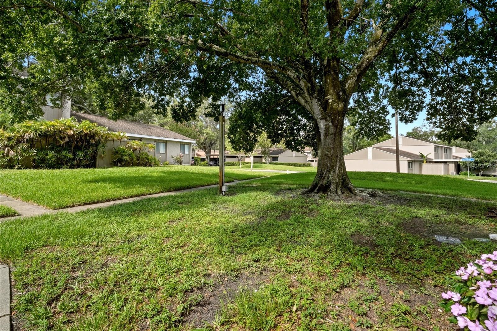 MEADOWOOD CONDO VILLAGE - Residential