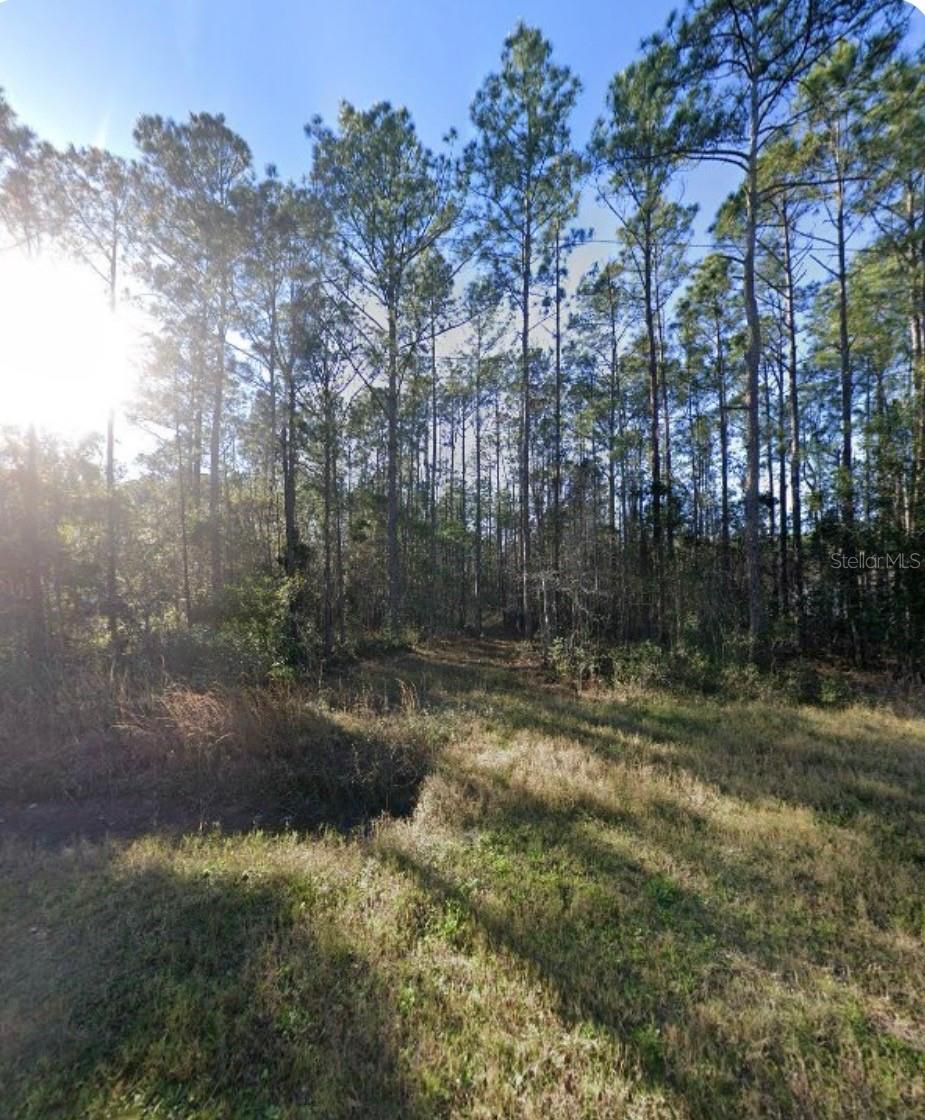 Build Your Dream Home on 1.14 Acres! This beautiful vacant lot at 9930 Crotty Ave, Hastings, FL offers 1.14 acres of Open Rural (OR) zoned land with plenty of room for a custom-built home or mobile/manufactured home. Enjoy the freedom of no HOA and no CDD fees, giving you flexibility to create the lifestyle you want. Bring your RVs, boats, work vehicles, and outdoor toys with room to spare. Experience peaceful country living while still being within reach of shopping, dining, and major roadways. Whether you're looking to build now or invest for the future, this property offers endless possibilities.