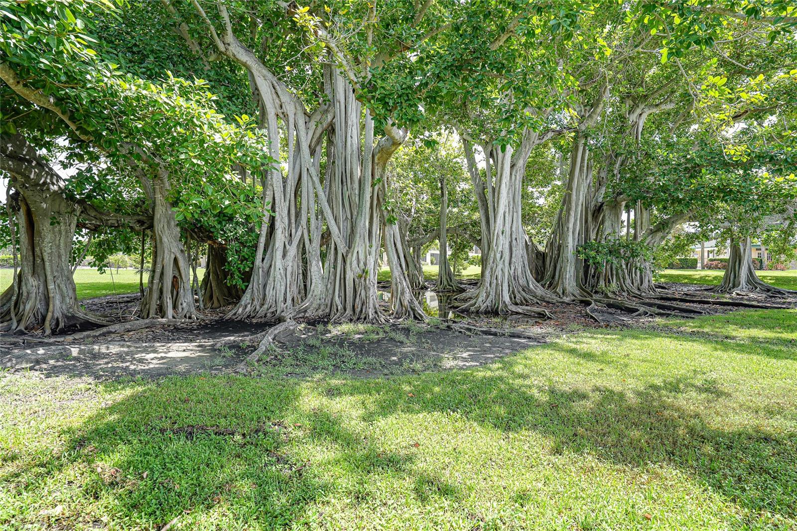 BANYAN POINT PH 03 - Residential