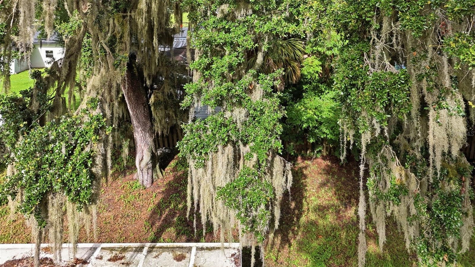 FLORIDA SHORES 01 - Residential