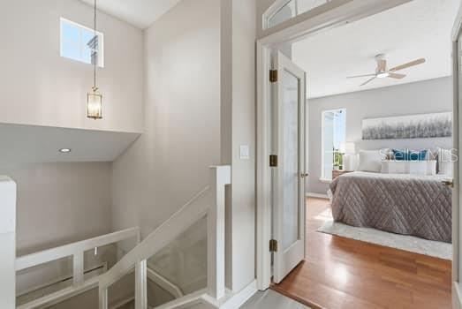 CHEVAL - CANNES VILLAGE - Residential