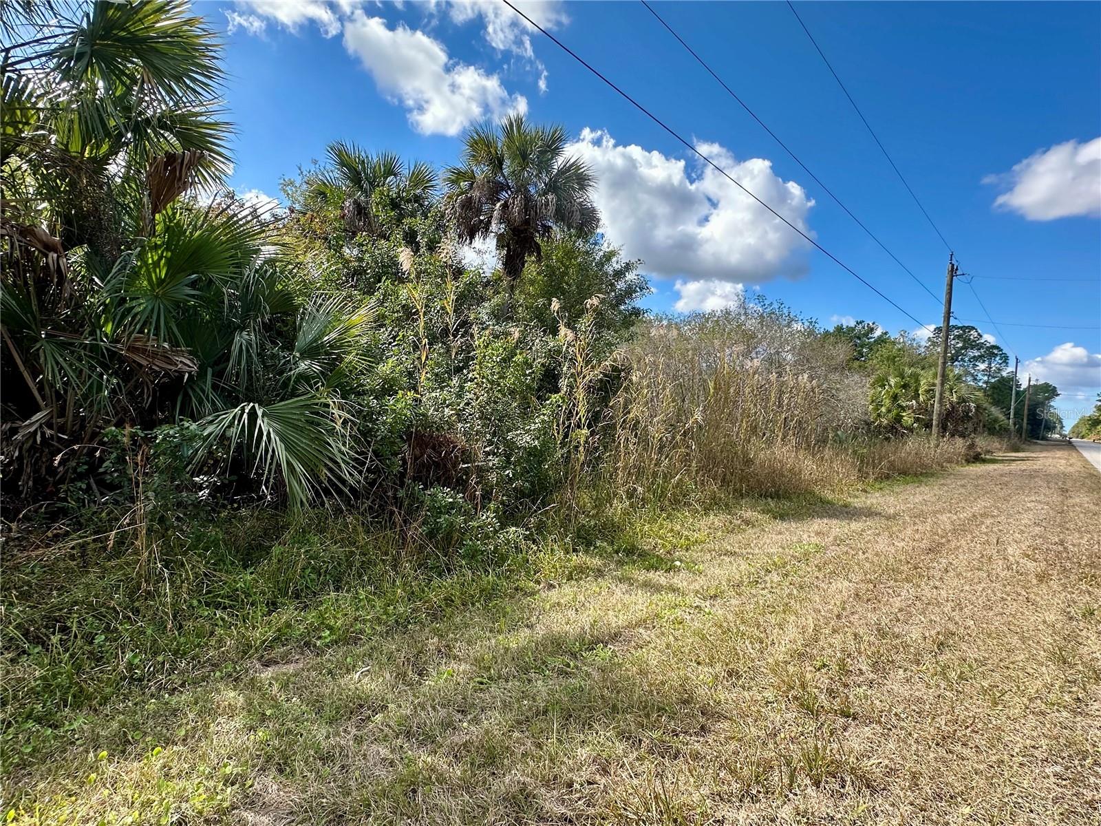 Discover the perfect opportunity to own 2.73 acres in Golden Gate Estates and build the lifestyle you’ve been dreaming of. With no HOA restrictions, this property offers the freedom and flexibility ideal for those seeking a true rural setting with room to grow. Large parcels like this are becoming increasingly rare in the area. Surrounded by beautiful new homes being constructed, you can enjoy peaceful country living while still being part of a growing and desirable community. Create your private retreat, bring your toys, add a workshop, or design the custom home you’ve always wanted. Enjoy wide-open spaces, privacy, and the serenity that makes Golden Gate Estates so sought after. Conveniently located just 30 minutes to Naples’ world-famous beaches, and only minutes from local restaurants, shopping centers, and everyday conveniences. Don’t miss this opportunity to secure your piece of paradise in one of Southwest Florida’s most desirable rural communities.