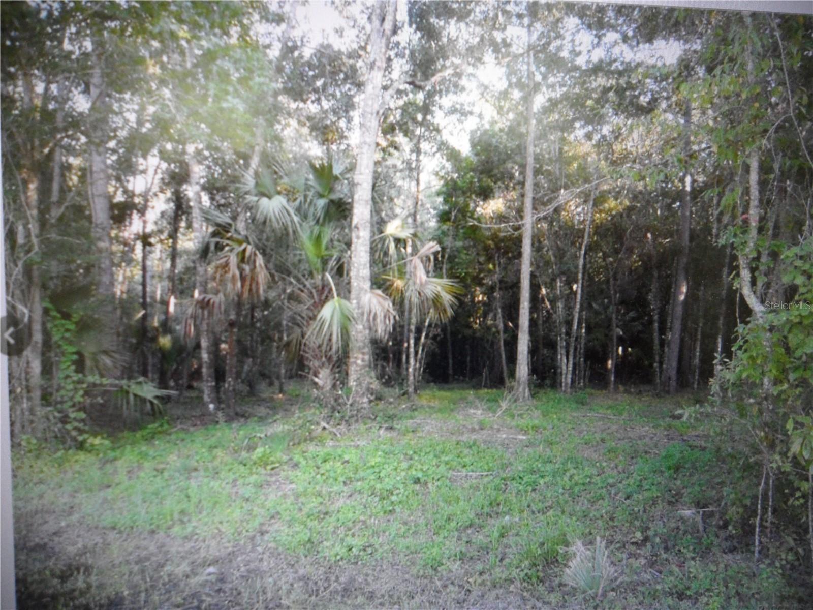 HOMOSASSA UNIT 01 AKA VILLA TERRACE UNIT 02 - Land