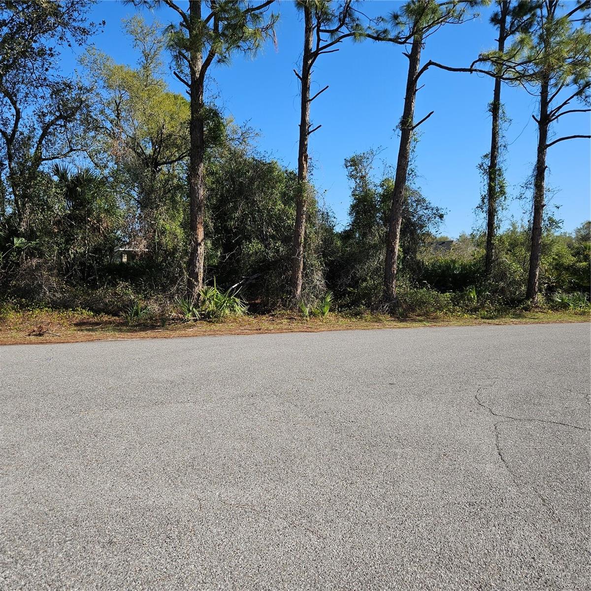 Here is a great lot for your new home build in North Port, Florida.
**NO flood zone - NO HOA**  Next door lot is also available for purchase to add to your estate.
Close to schools, hospitals., shopping and dining.  Short drive to the local beaches, Warm Mineral Springs, Atlanta Braves Baseball Stadium, Wellen Park, Sunseeker Resort, Fort Myers and Sarasota.
The local builder research has been completed and ready to assist you in choosing a top quality builder for your site.
Additional lots available. Seller will consider package sales.