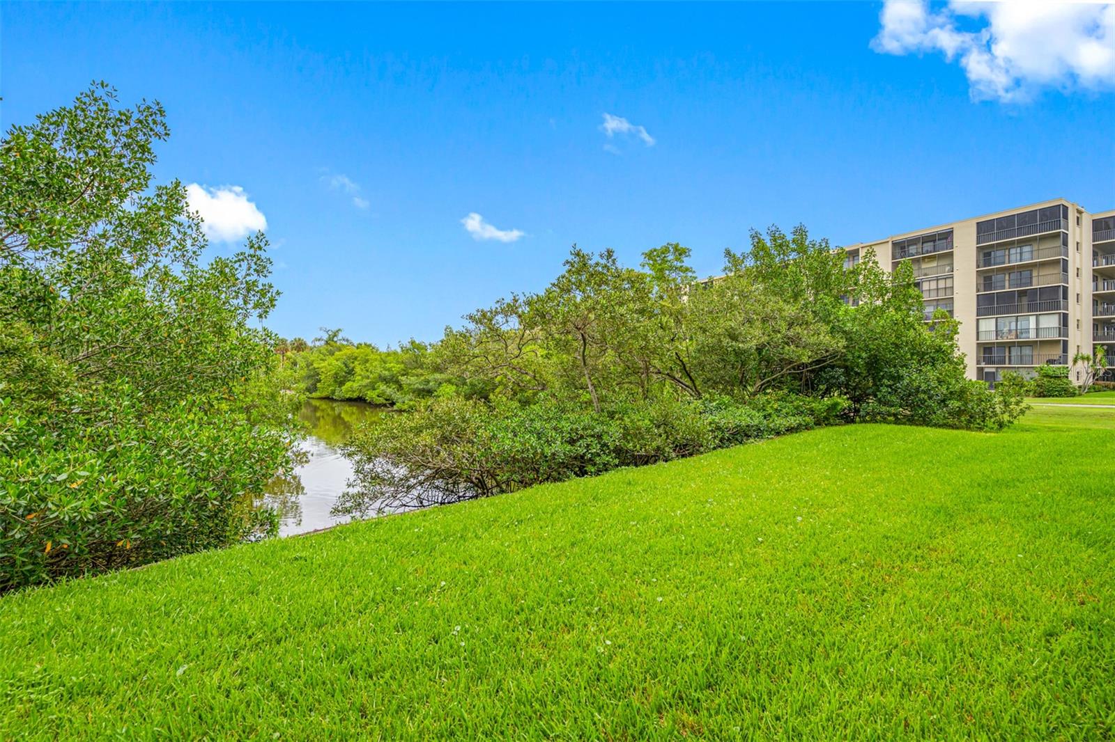 Experience the Florida Lifestyle You've Been Dreaming About!

Welcome to Cove Cay, one of Tampa Bay's most desirable gated waterfront golf communities, where every day feels like a vacation. Perfect as a primary residence, winter retreat, or second home, this beautifully maintained first-floor condo offers the ideal combination of waterfront serenity, resort-style amenities, and low-maintenance living.

This spacious 2-bedroom, 2-bath residence overlooks a tranquil canal and mangrove-lined inlet connected to Tampa Bay, creating a peaceful natural backdrop right outside your screened lanai. Enjoy morning coffee while watching native birds and coastal wildlife, or unwind in the evenings with gentle waterfront breezes.

Inside, you'll find a bright and inviting floor plan filled with natural light. The updated kitchen features stone countertops, newer appliances, and a convenient in-unit washer and dryer. The generously sized primary suite includes two closets and an en-suite bath with a private water closet and walk-in shower. Tile flooring throughout the main living areas offers easy maintenance, while the bedrooms provide comfort and warmth.

Beyond your front door awaits an unmatched Florida lifestyle. Cove Cay is a secure, 24-hour gated community nestled along Tampa Bay and centered around a scenic 18-hole championship golf course. Residents enjoy access to an on-site restaurant and pub, beautifully landscaped grounds, community pools, and the nearby marina offering affordable boat slips, storage, rentals, and easy access to Tampa Bay's waterways.

Whether your passion is golf, boating, fishing, or simply enjoying Florida's sunshine, Cove Cay offers it all in one convenient location. You're just minutes from world-famous Gulf beaches, vibrant downtowns, major airports, shopping, dining, and professional sports venues.

The monthly maintenance fee makes ownership easy by covering cable, internet, building insurance, water, sewer, trash, lawn care, and pool maintenance—allowing you to spend less time on upkeep and more time enjoying the Florida lifestyle.

If you've been searching for an affordable waterfront golf community with exceptional amenities and a true resort atmosphere, this is your opportunity to own a piece of paradise in Tampa Bay.
