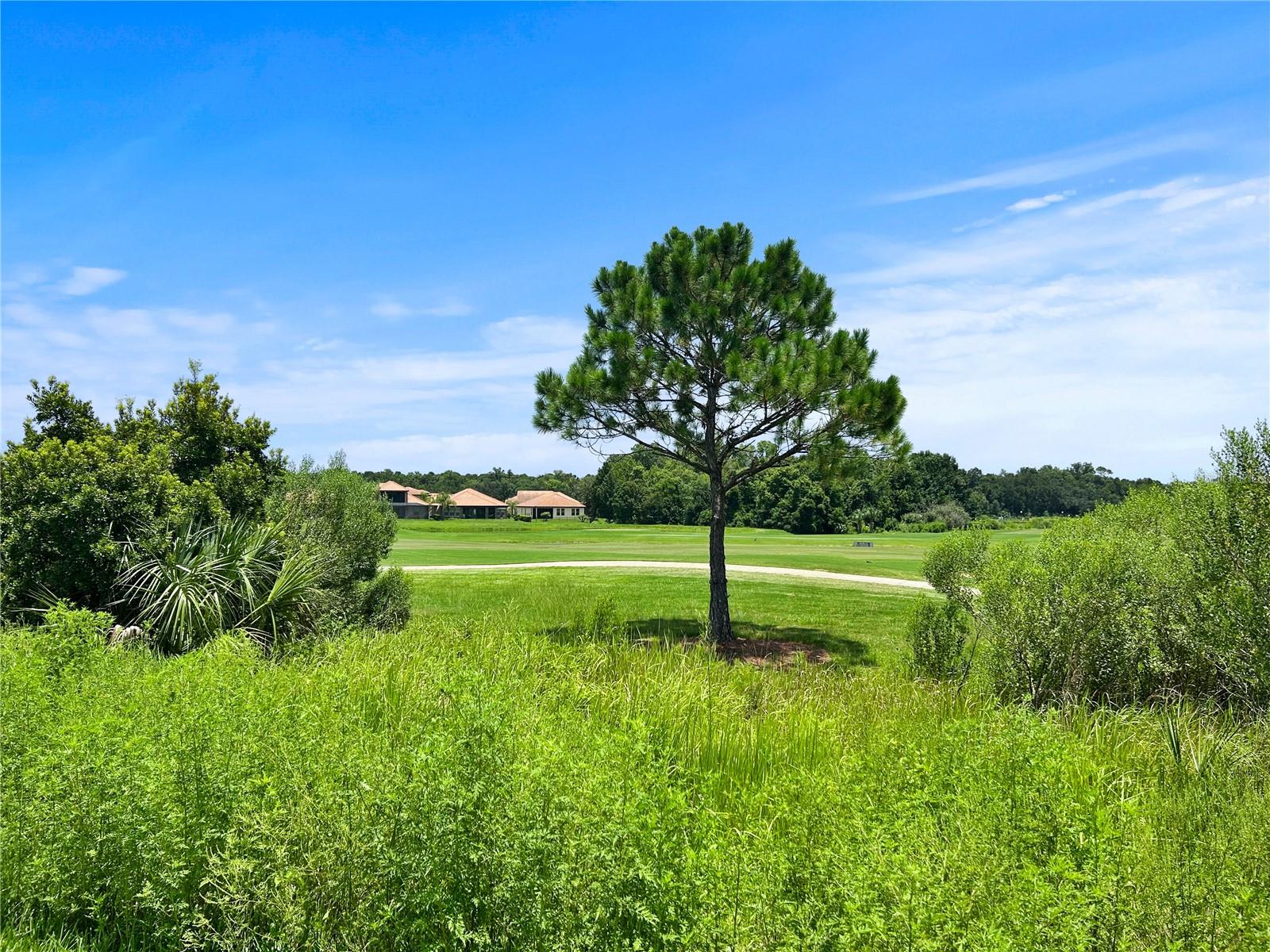 PROVIDENCE GOLF COMMUNITY FAIRWAY VILLAS - Residential