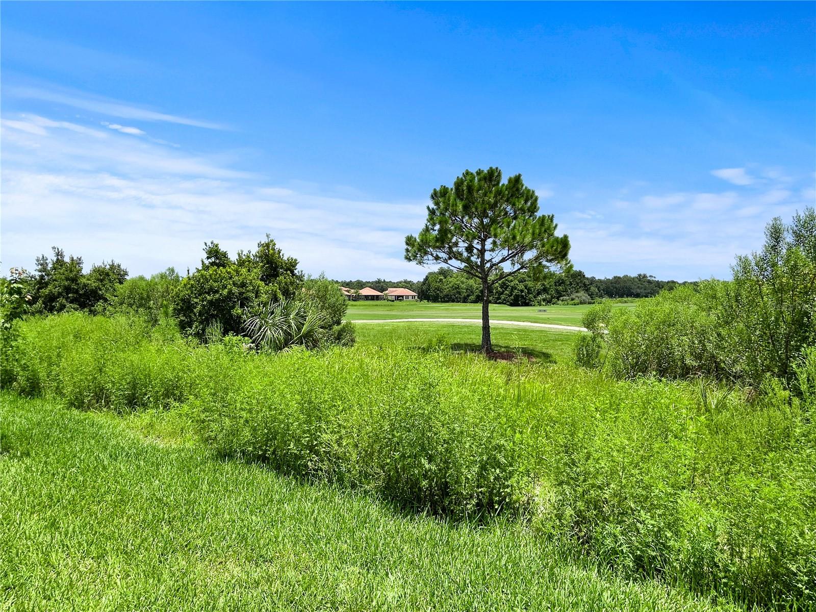 PROVIDENCE GOLF COMMUNITY FAIRWAY VILLAS - Residential
