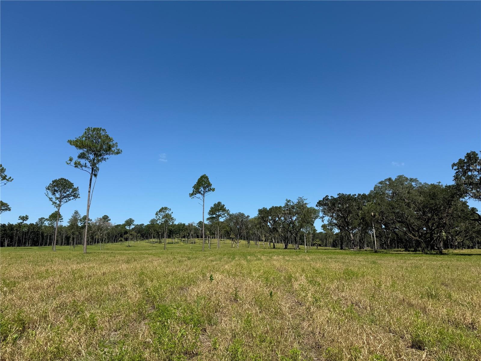 DUNGARVEN RIDGE - Land
