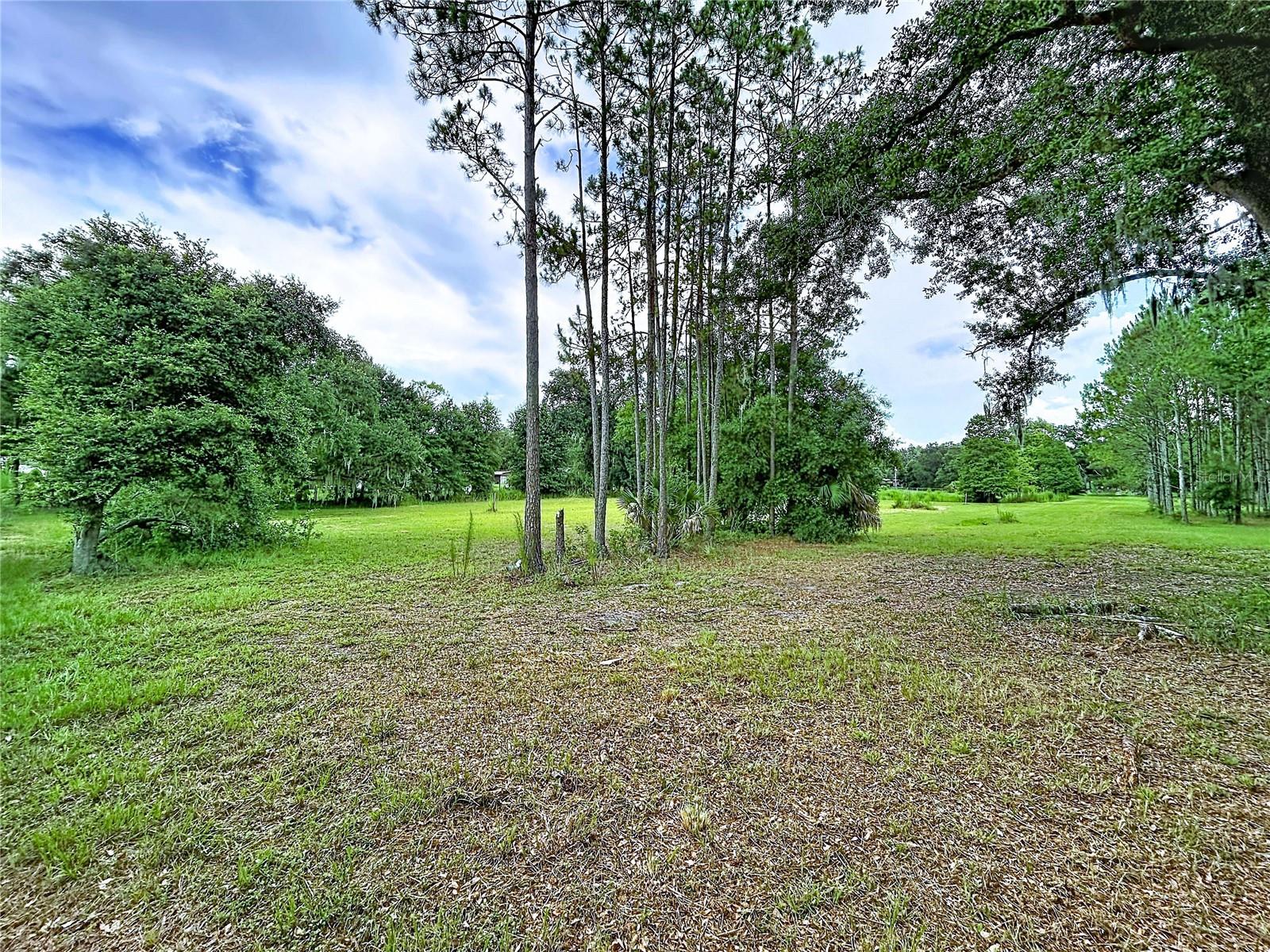 VANDERVORT ESTATES SUB - Land