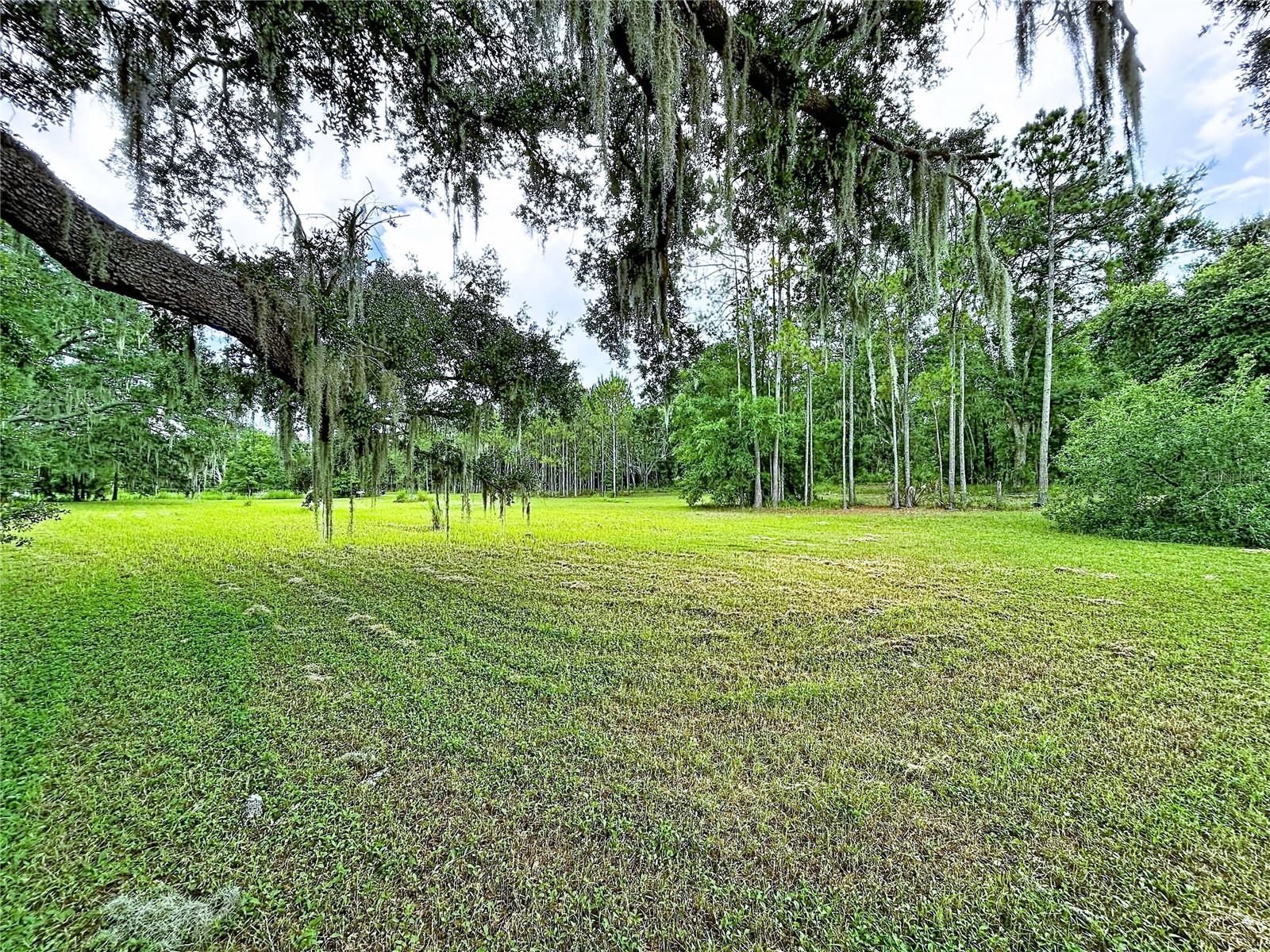 VANDERVORT ESTATES SUB - Land