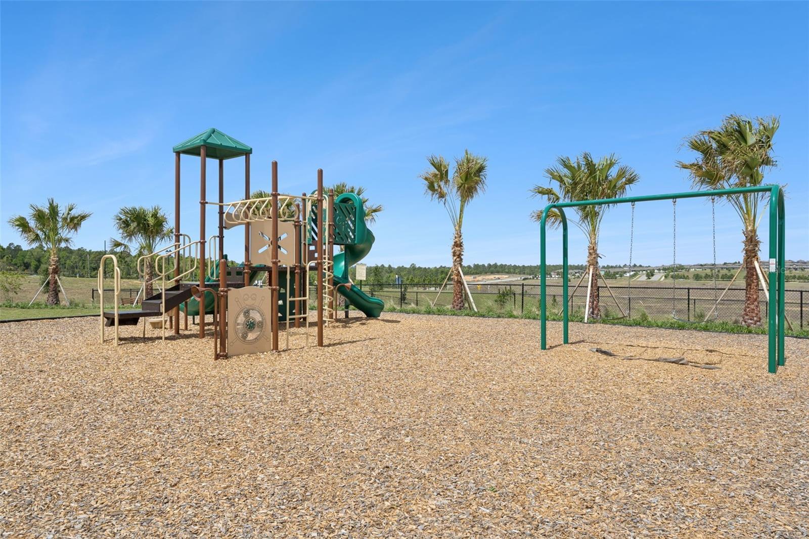 HILLS OF MINNEOLA - Residential