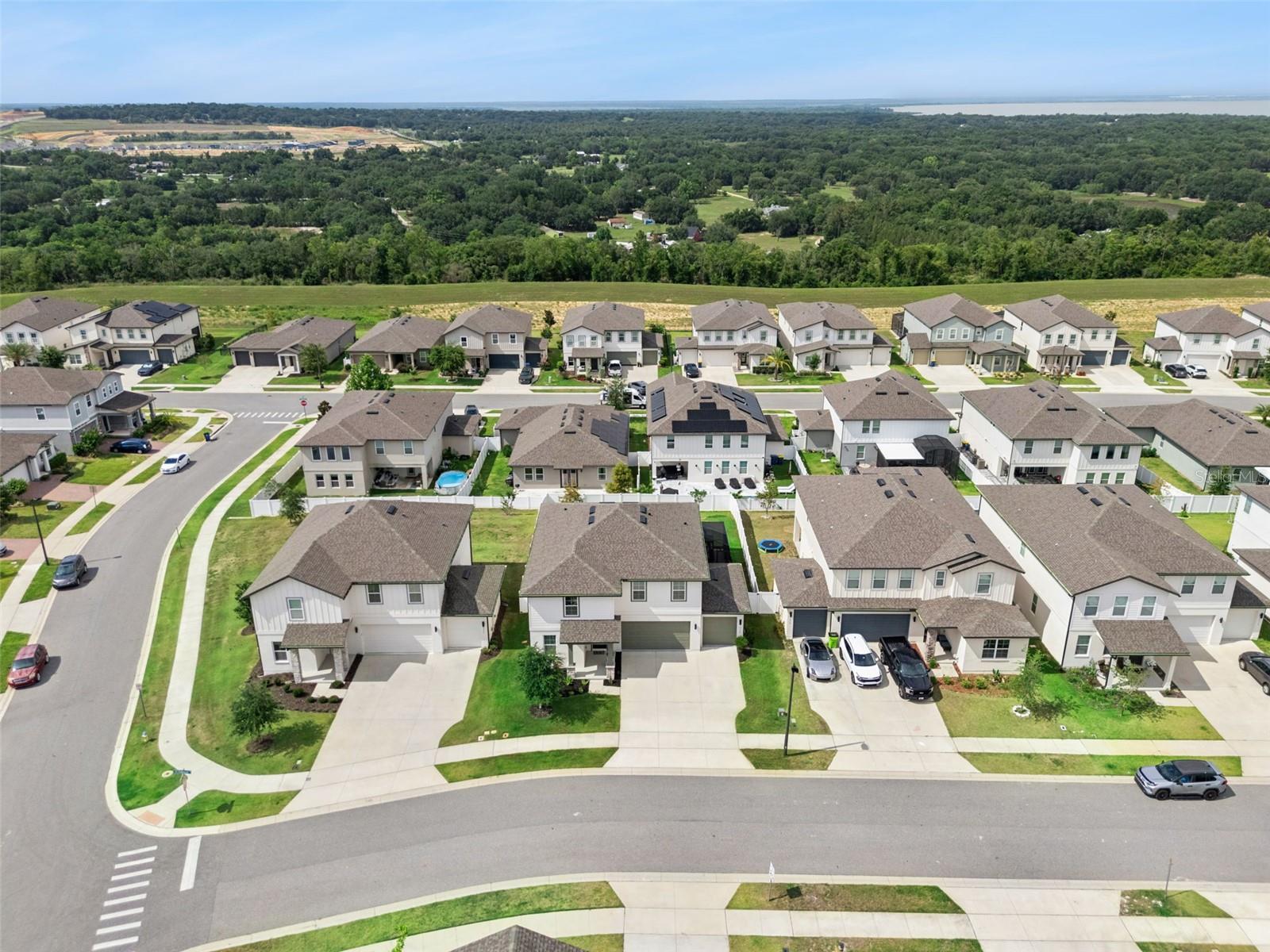 HILLS OF MINNEOLA - Residential