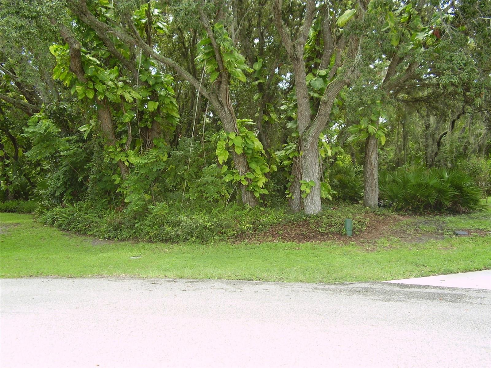 BUY THIS BEAUTIFUL 20,809 SQUARE FEET CUL-DE-SAC LOT WITH NO NEIGHBORS IN THE BACK FOR MORE PRIVACY AND BUILD THE HOME YOU ALWAYS WANTED WITH PLENTY OF ROOM FOR A PORCH, SWIMMING POOL, GARDENING, ETC, AND NO TRAFFIC GOING THROUGH, EXCEPT YOUR NEIGHBORS. THIS IS THE ONLY LOT LEFT UNBUILT ON THIS CUL-DE-SAC BLOCK. WATER & SEWER READY TO HOOK-UP. THIS LOT IS IN THE POLK COUNTY SIDE OF POINCIANA. POINCIANA IS LOCATED 45 MINUTES AWAY FROM ORLANDO INTERNATIONAL AIRPORT, NEXT TO DISNEY'S ATTRACTIONS. SEAWORLD, UNIVERSAL STUDIOS, LEGOLAND AND ALL THE OTHER ATTRACTIONS CENTRAL FLORIDA IS FAMOUS FOR ARE ONLY MINUTES AWAY. ENJOY TE ATLANTIC OCEAN BEACHES LIKE DAYTONA BEACH, COCOA BEACH, MELBOURNE BEACH, ETC. OR IF YOU PREFER THE GULF OF MEXICO BEACHES LIKE CLEARWATER BEACH, ST. PETES BEACH, ANAMARIA ISLAND BEACH, ETC. POINCIANA HAS ITS OWN SCHOOLS AND LIBRARY. VALENCIA COLLEGE HAS A POINCIANA CAMPUS. POINCIANA HAS PARKS, DOG PARKS, PLAYGROUNDS, GOLF, BASKETBALL COURTS, BASEBALL, SOCCER, FOOTBALL, TENNIS, RACKETBALL, SHUFFLEBOARD, FISHING, TWO SWIMMING POOLS, FITNESS TRAILS, SUPERMARKETS, SHOPPING CENTERS, WALMART SUPERCENTER, HOSPITALS, MEDICAL OFFICES AND ALL MEDICAL SUPPORT SERVICES. POINCIANA HAS IT ALL FOR EVERYONE WHERE YOU CAN BE AS ACTIVE AS YOU WOULD LIKE OR JUST RELAX. BUY THIS BEAUTIFUL OVERSIZED LOT AND BUILD YOUR DREAM HOME RIGHT NOW OR WHENEVER YOU DECIDE. JUST GIVE US A CALL AND WE WILL BE HAPPY TO SHOW IT AND PROVIDE YOU WITH ANY ADDITIONAL INFORMATION YOU MAY REQUIRE.