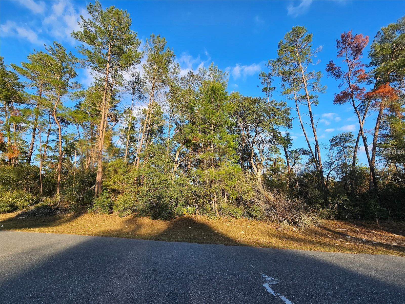 MARION OAKS UN SIX - Land