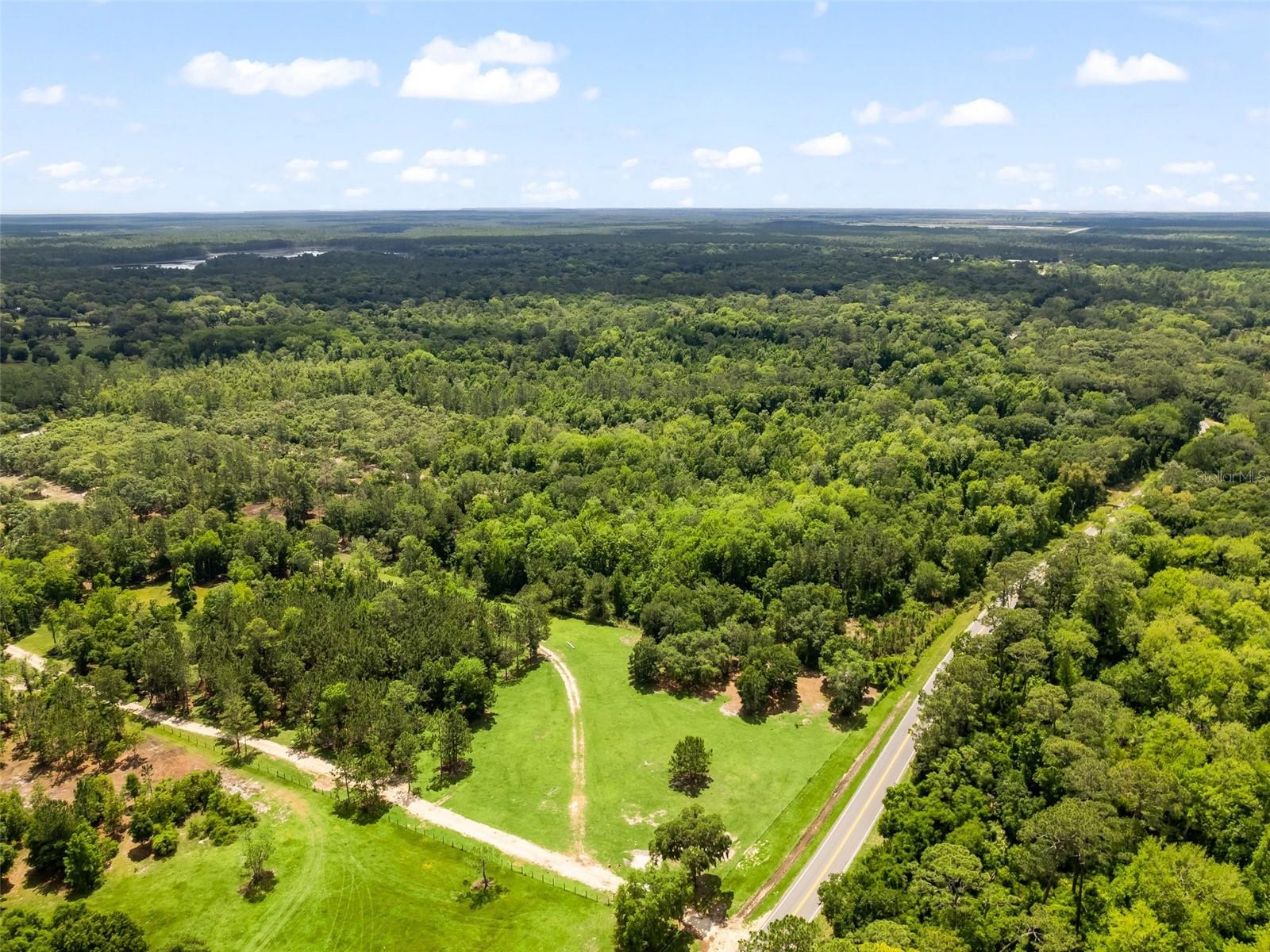 FOREST MEADOWS RANCHETTES - Land