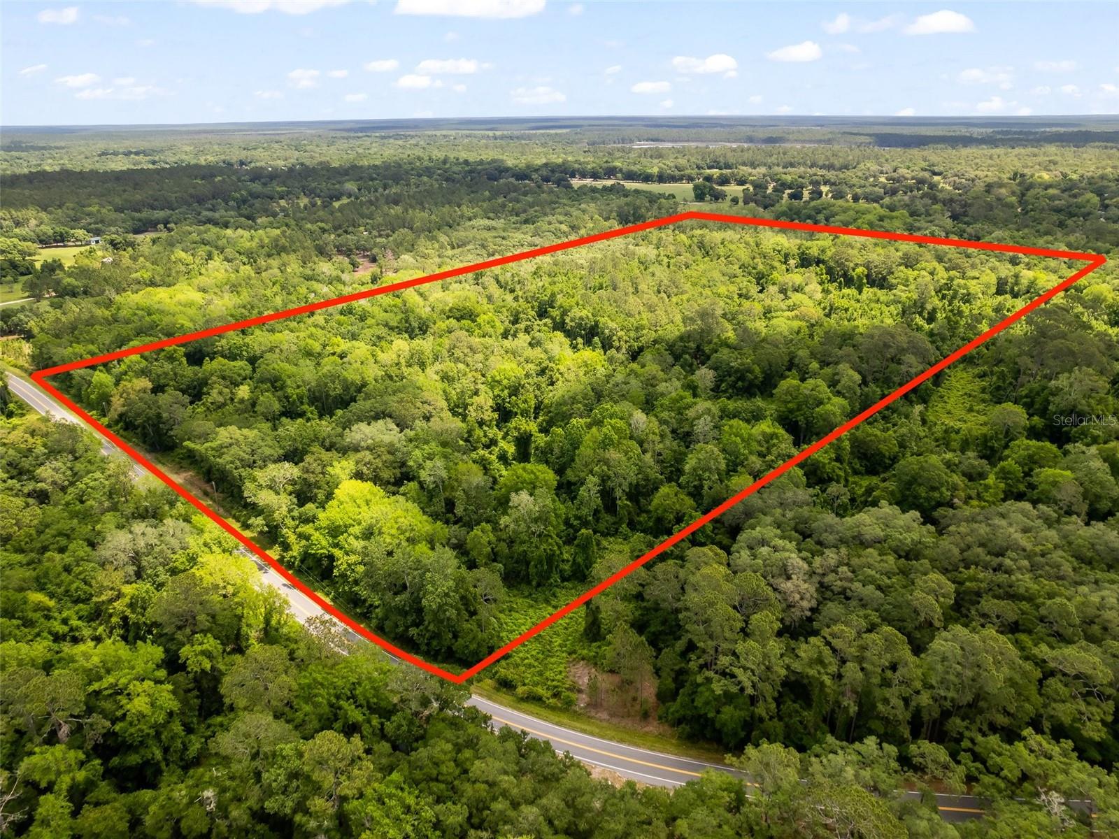 FOREST MEADOWS RANCHETTES - Land