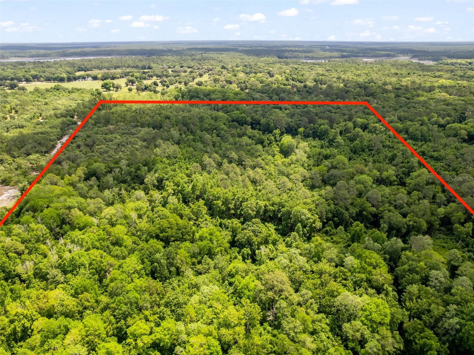 FOREST MEADOWS RANCHETTES - Land