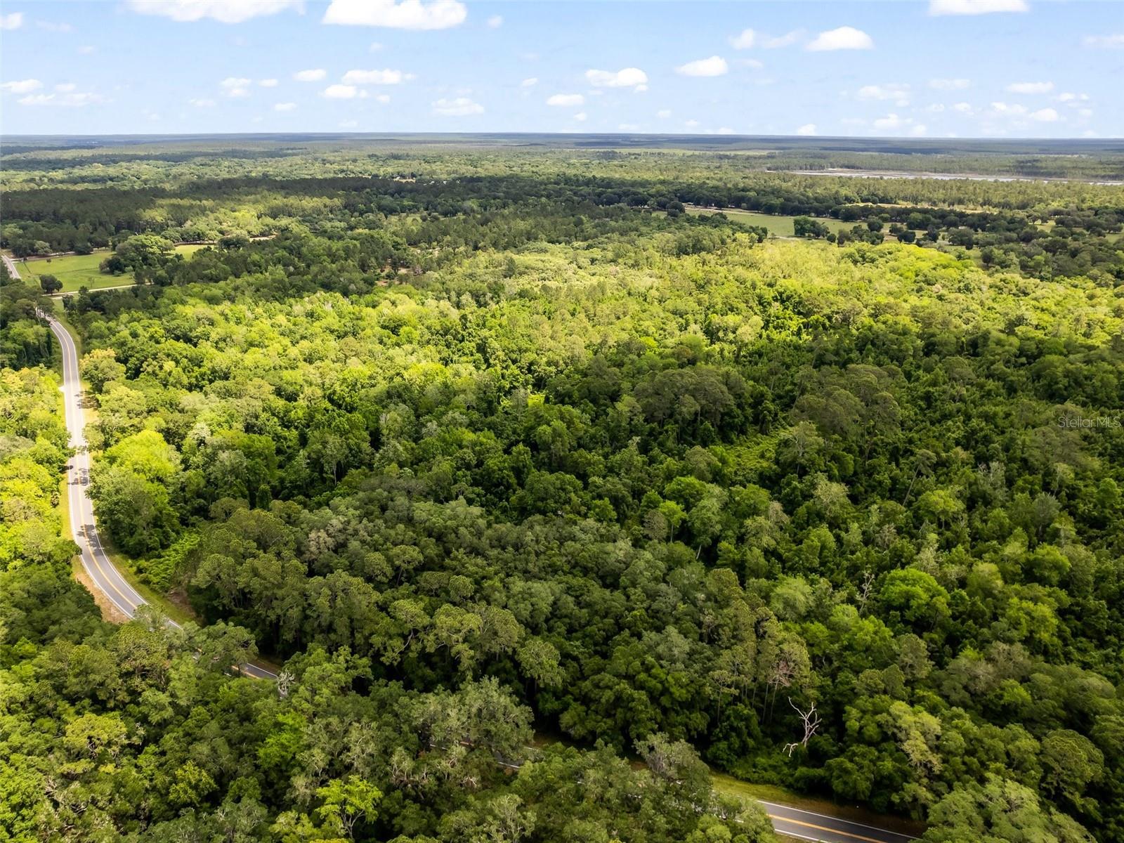 FOREST MEADOWS RANCHETTES - Land