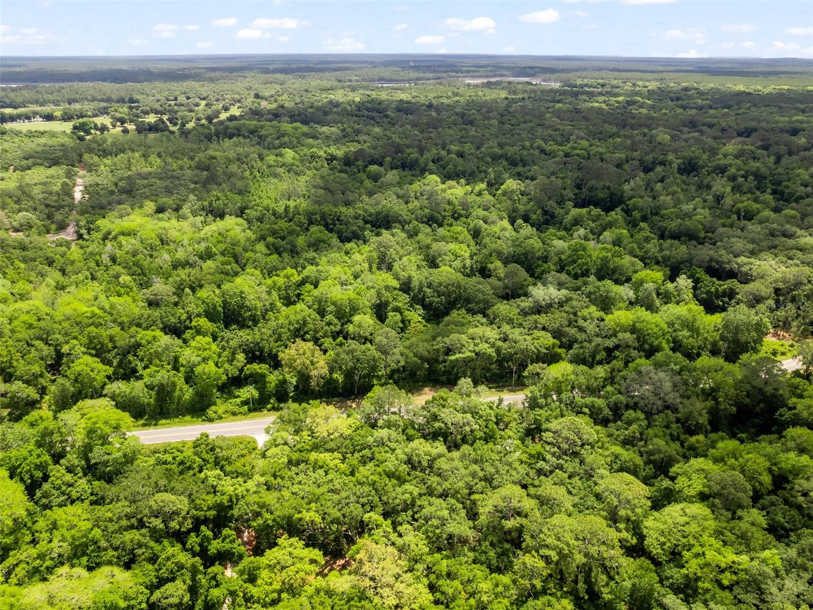 FOREST MEADOWS RANCHETTES - Land