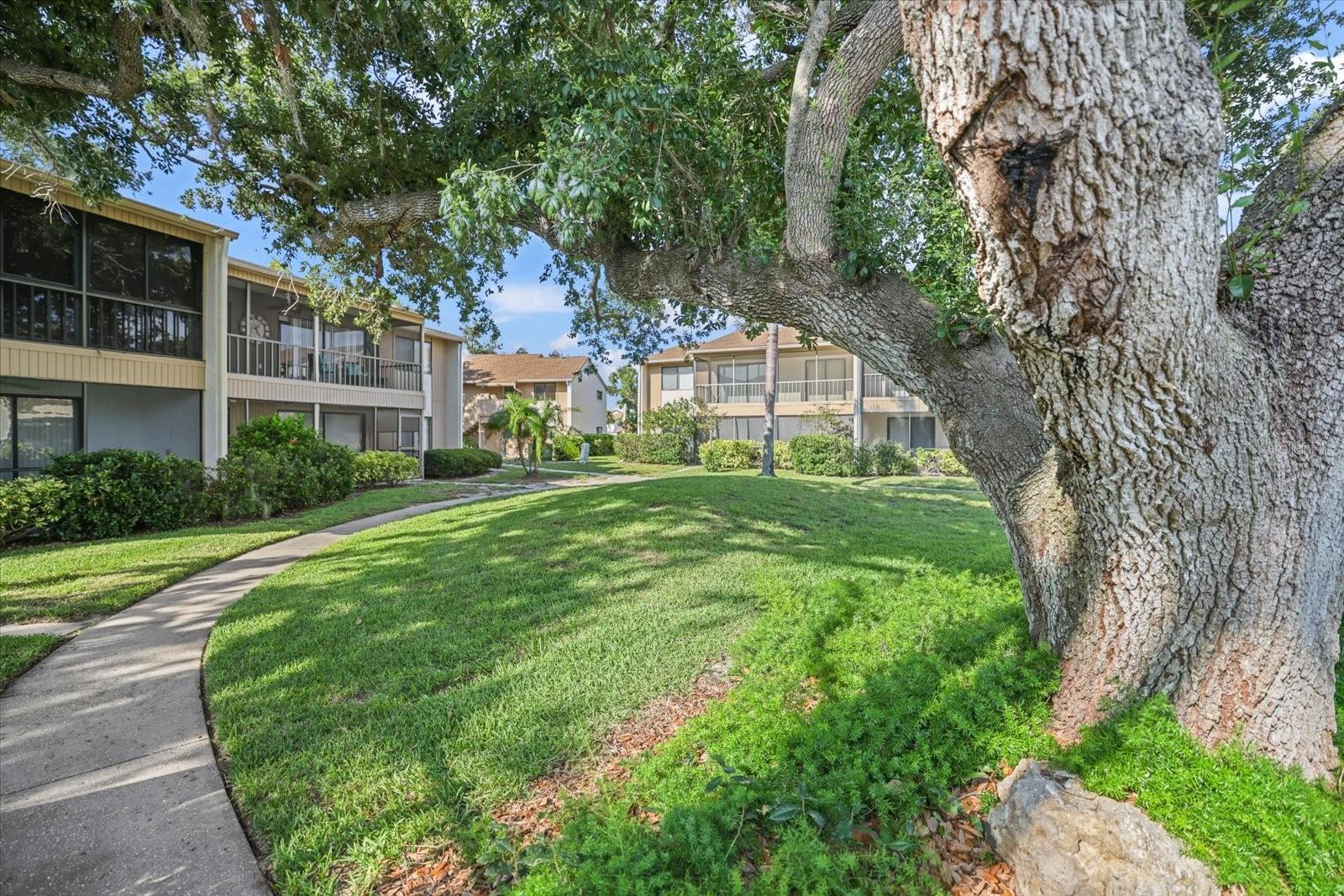 BIRD BAY I - Residential