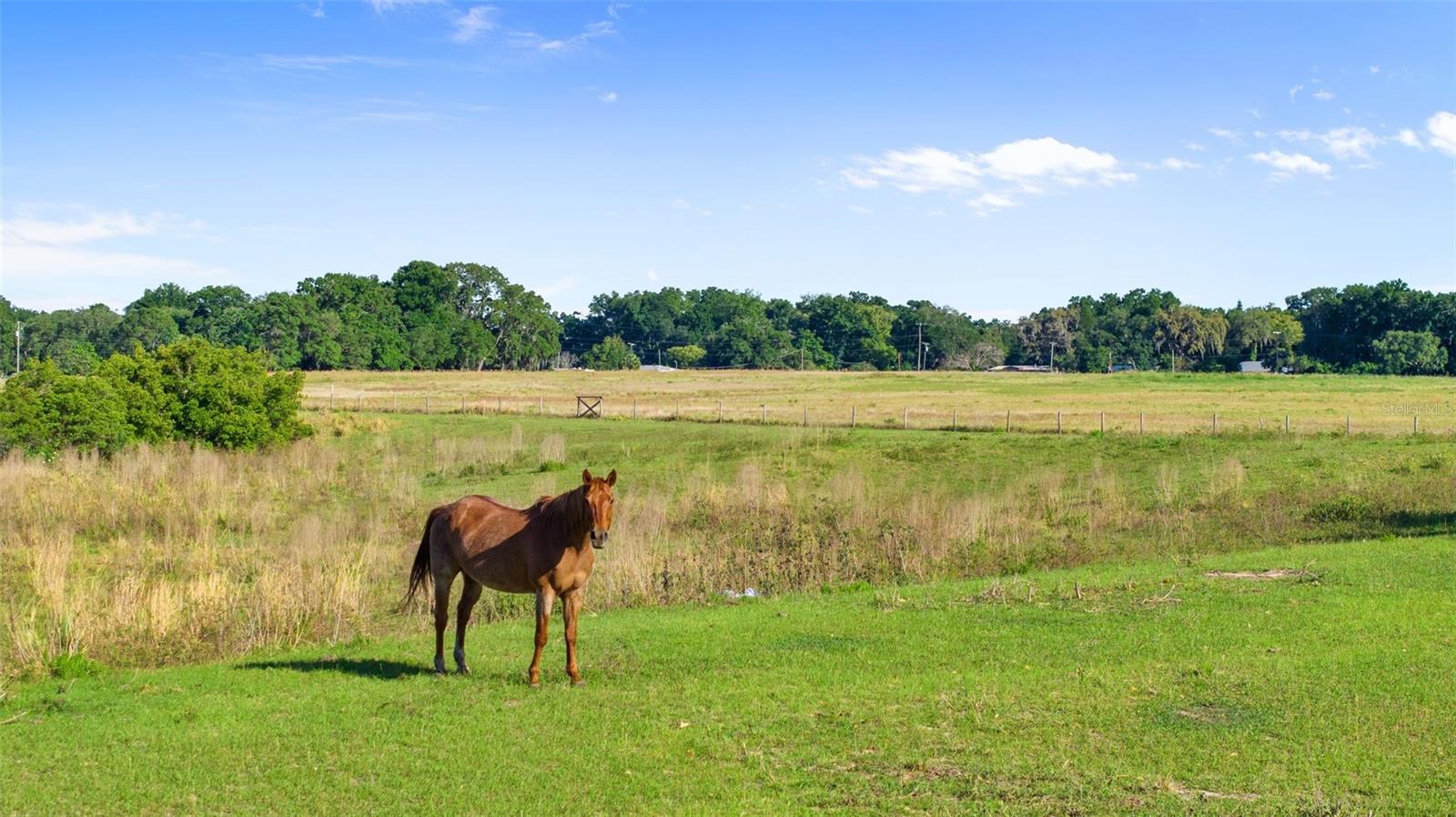 STONELAKE RANCH - PH 4 - Residential