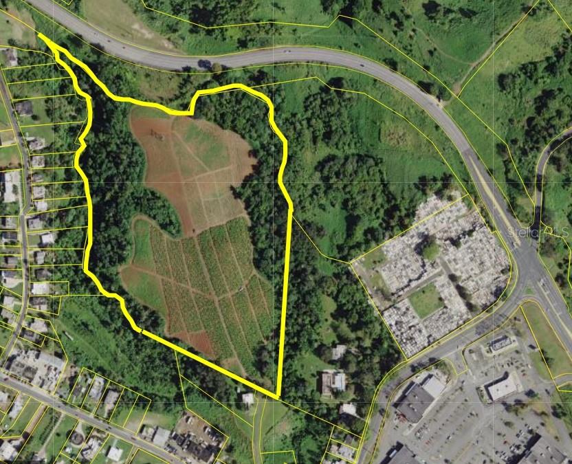This 22 Acre Property is for Sale in Barrio Morovis Sur, Morovis Puerto Rico. Located right along PR-137 and just half a mile from Morovis Plaza Shopping Center, making it easy to access.  This is an excellent investment opportunity.  This 22-acre vacant property in Barrio Morovis Sur is perfect for farming or other agricultural uses.  The land is big enough to explore possibilities depending on local zoning rules. It’s a great opportunity for anyone looking for space and potential.