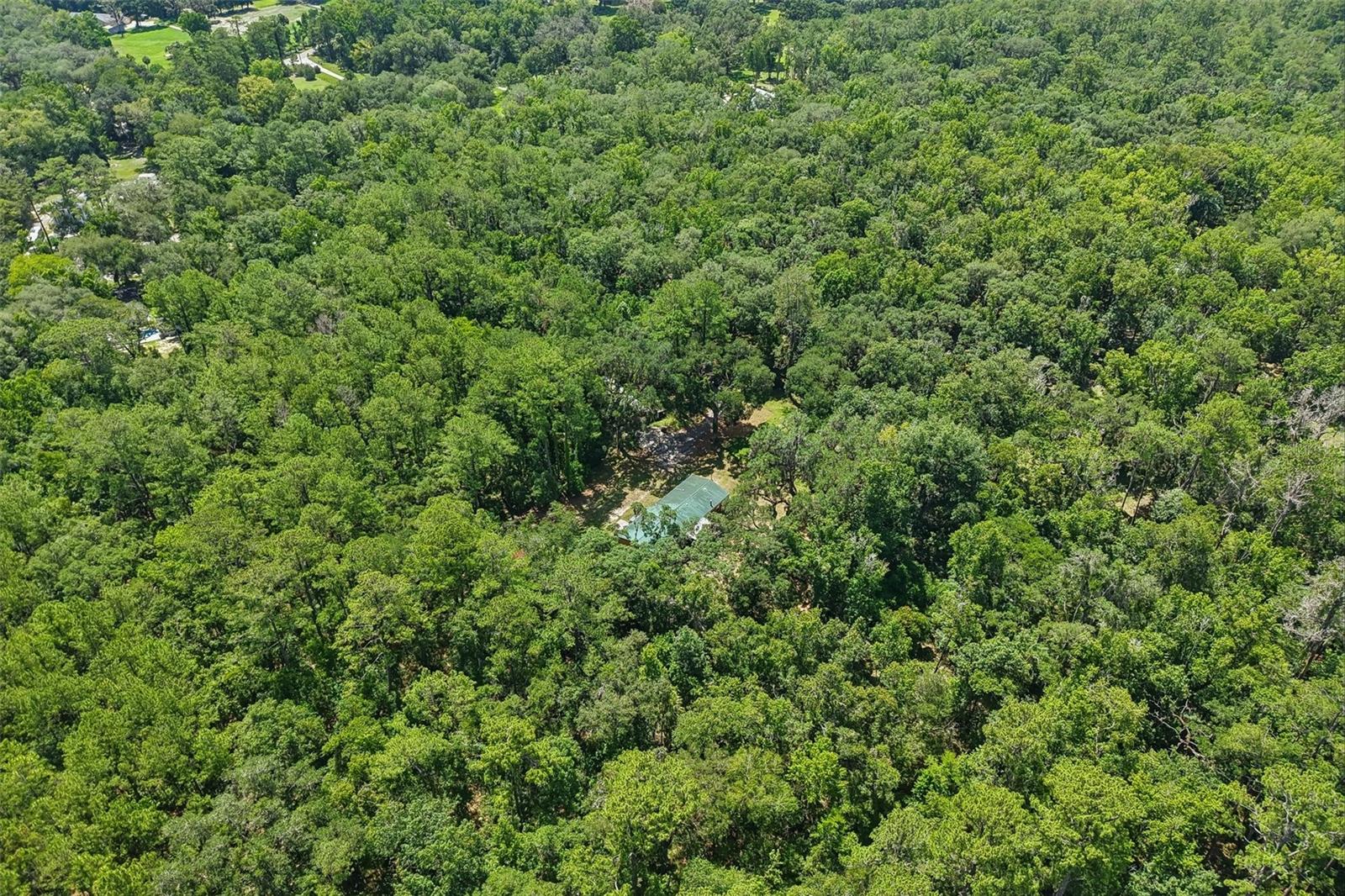 PINES NEW PORT RICHEY - Residential