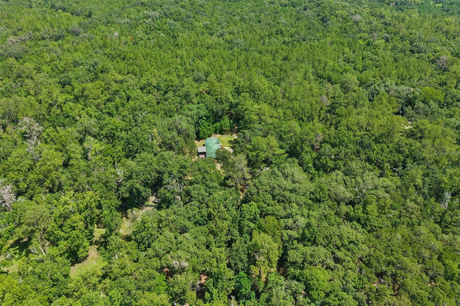 PINES NEW PORT RICHEY - Residential
