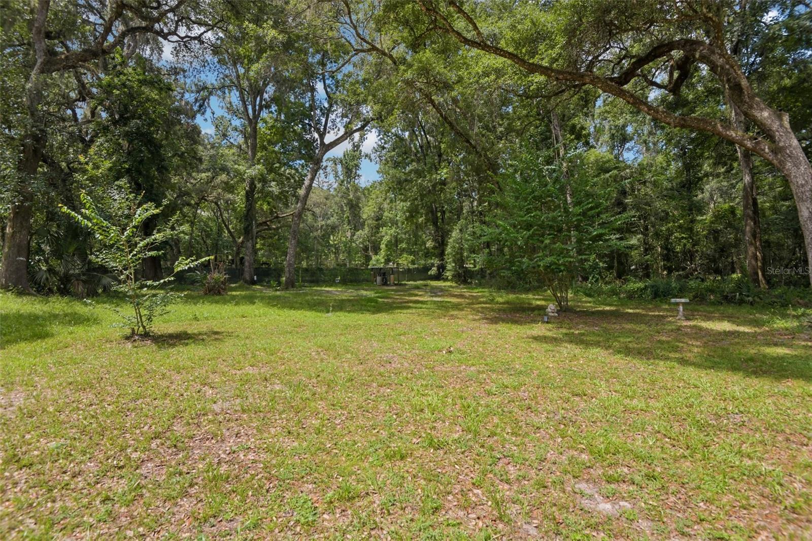 PINES NEW PORT RICHEY - Residential