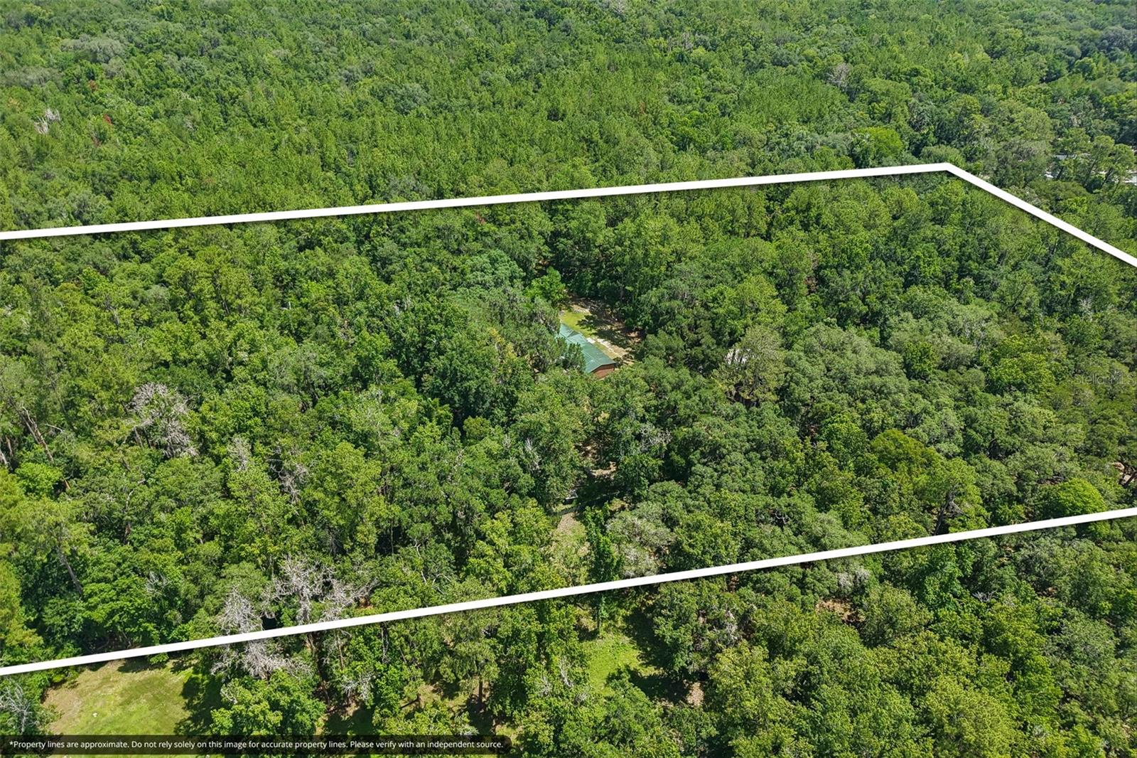 PINES NEW PORT RICHEY - Residential