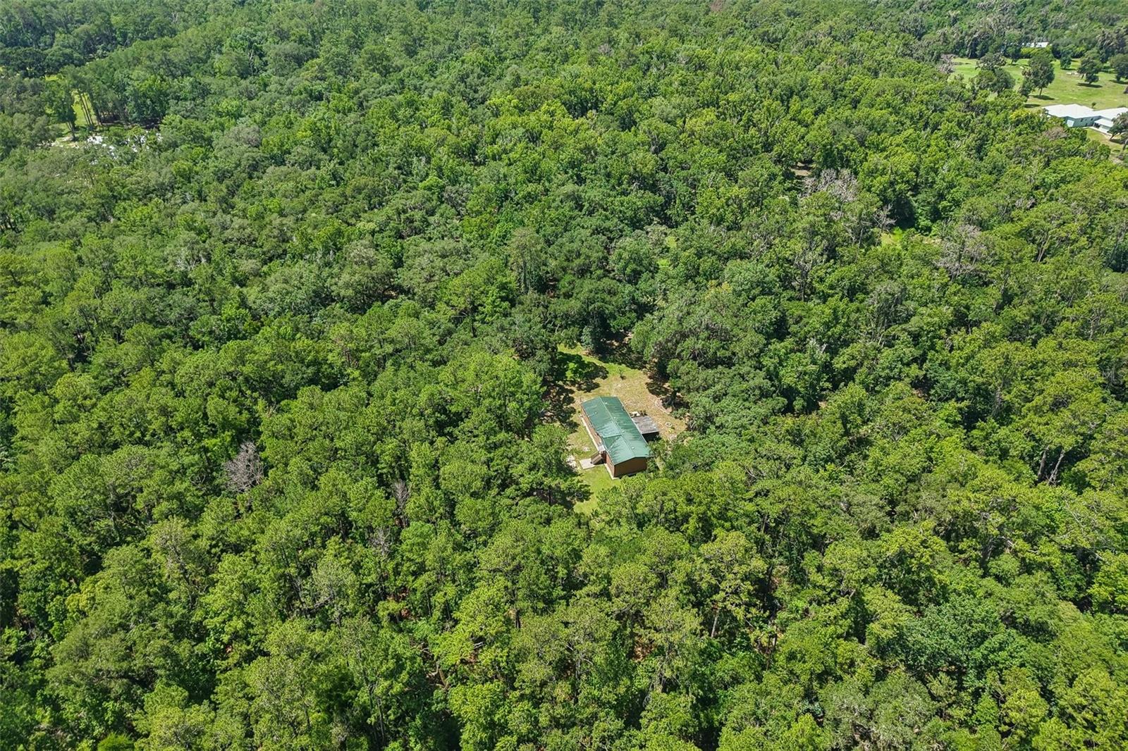 PINES NEW PORT RICHEY - Residential
