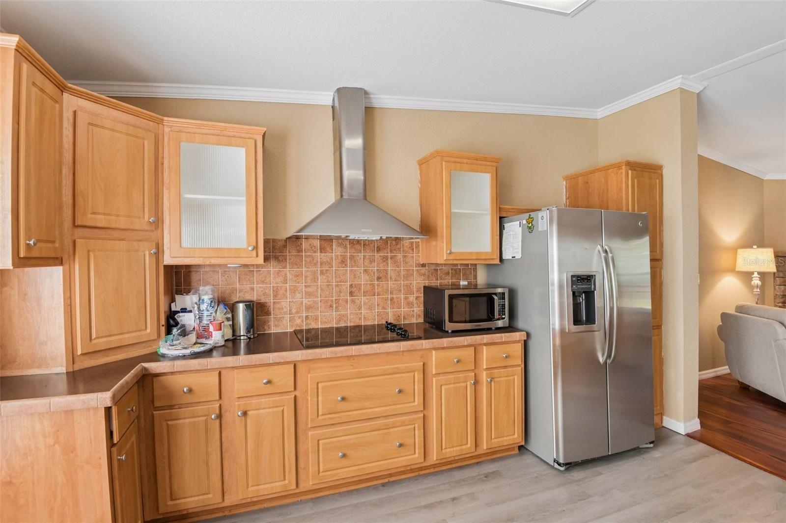 PINES NEW PORT RICHEY - Residential