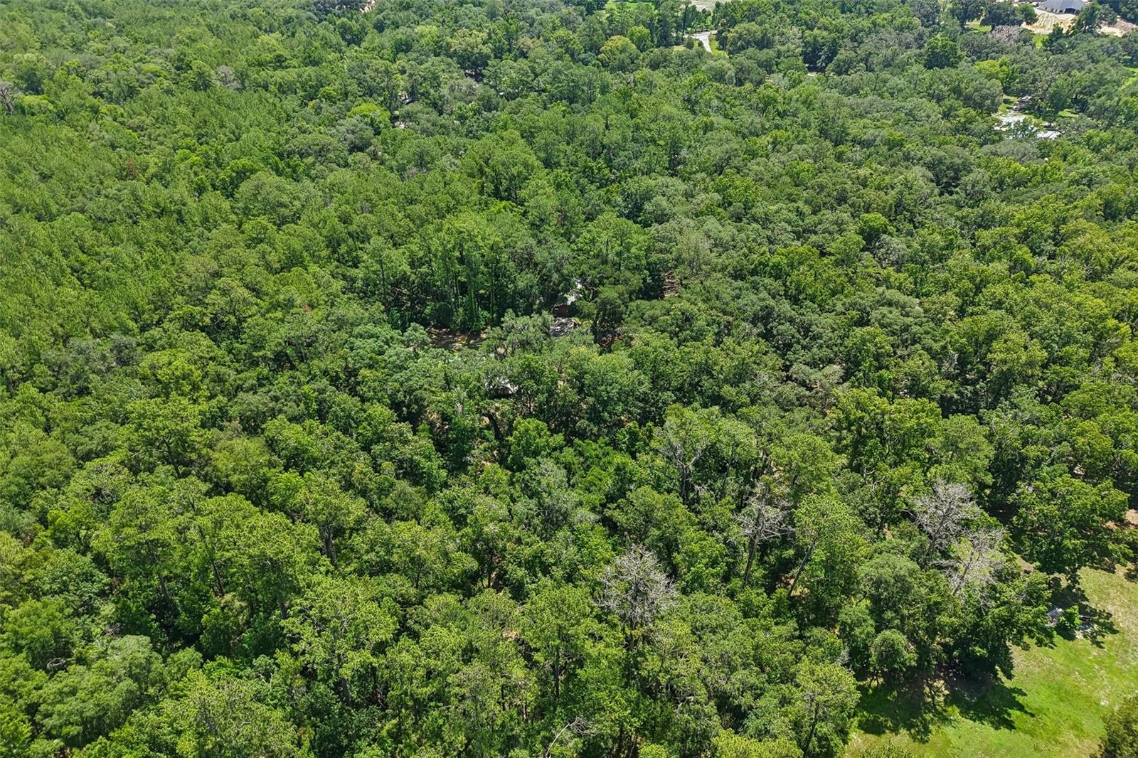 PINES NEW PORT RICHEY - Residential
