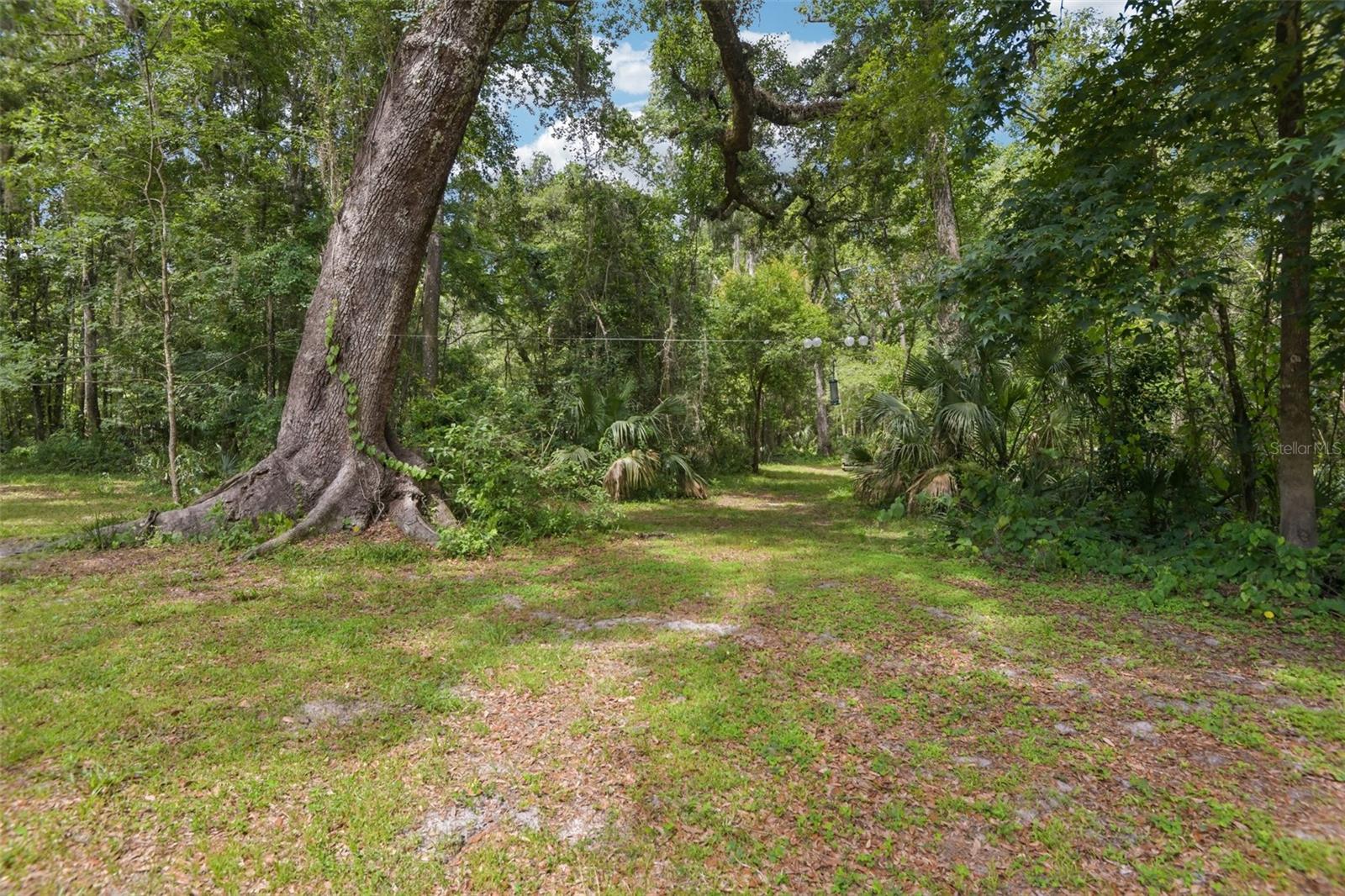 PINES NEW PORT RICHEY - Residential