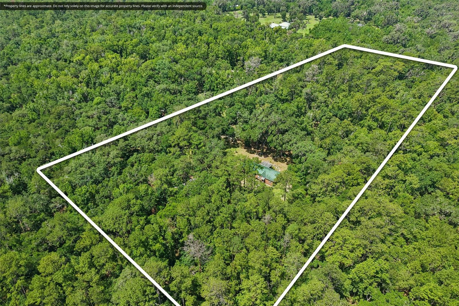 PINES NEW PORT RICHEY - Residential