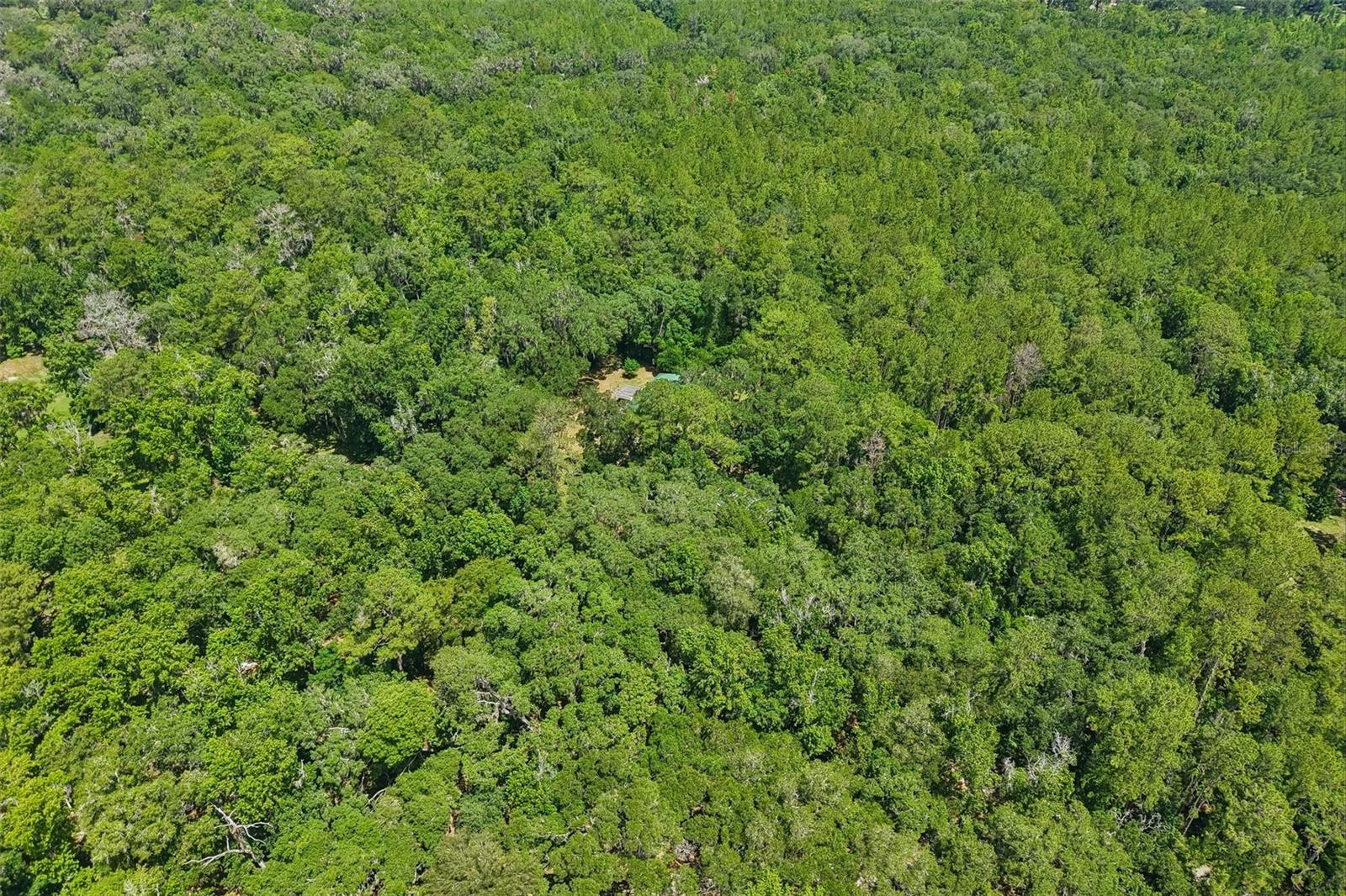 PINES NEW PORT RICHEY - Residential