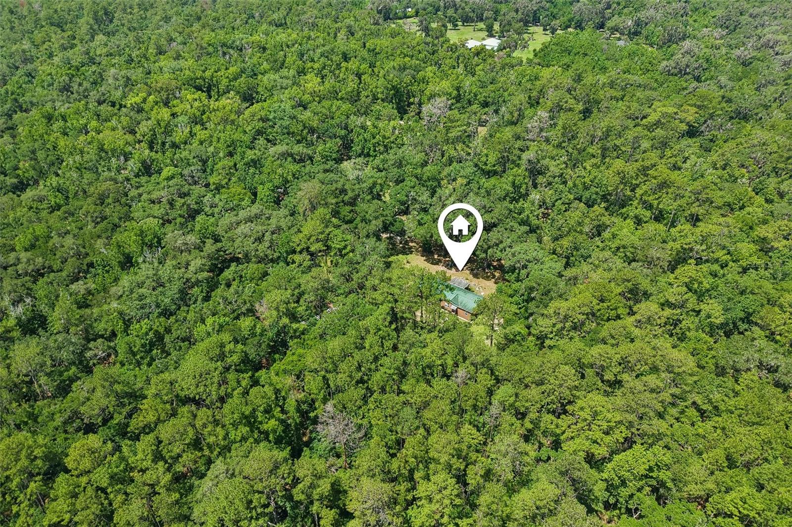 PINES NEW PORT RICHEY - Residential