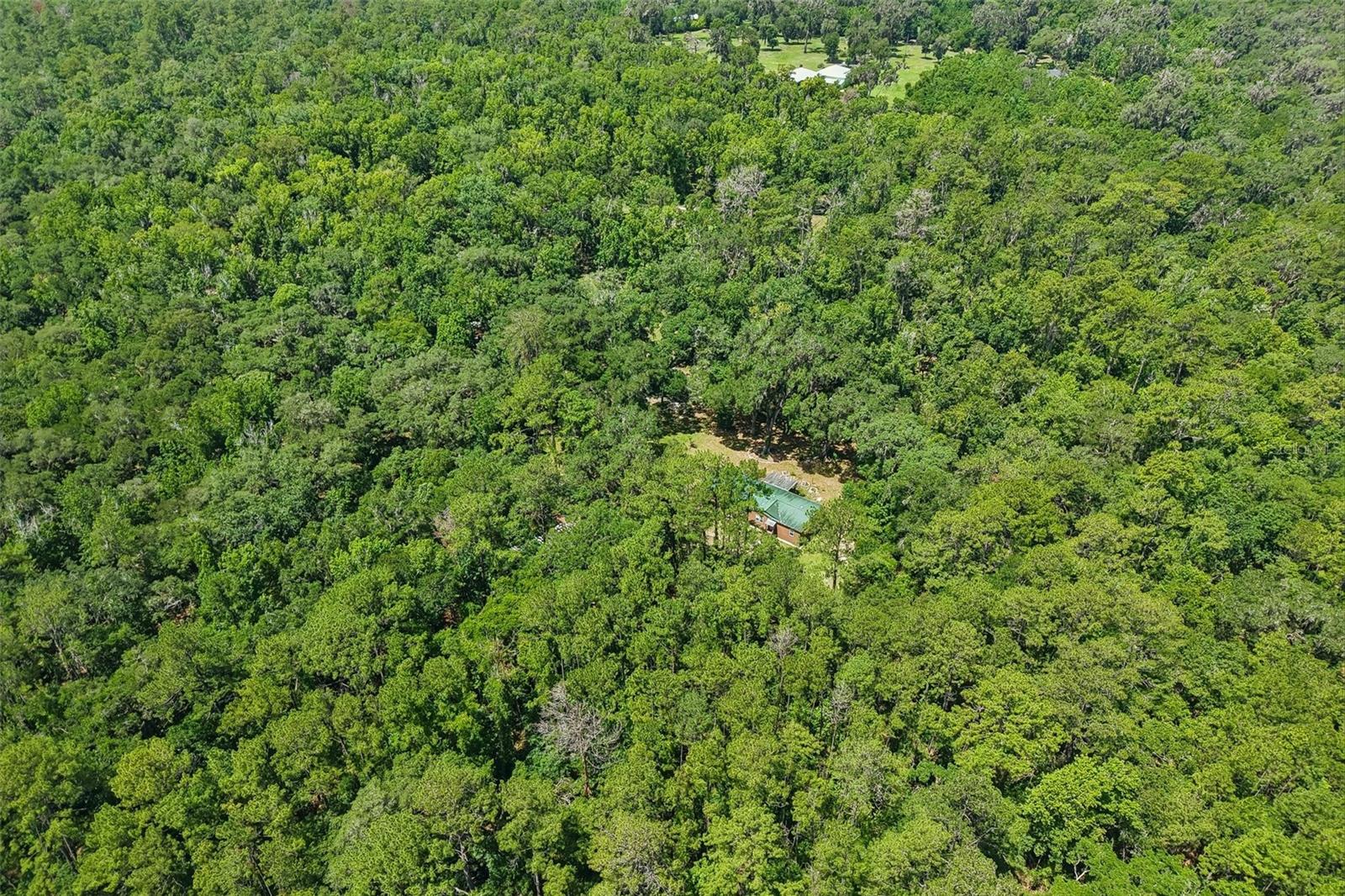 PINES NEW PORT RICHEY - Residential