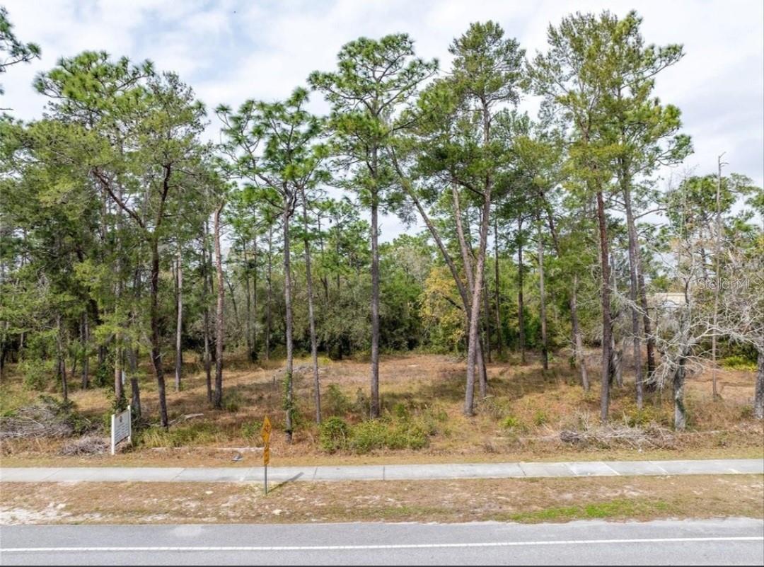 Multiple opportunities with this parcel! of 3.06 acres Currently zoned R-1A through the City of Deltona. This would allow for 4 units per acre if used under the current zoning. Property sits next to commercial property and close to the highway. Currently approved for an religious institution.