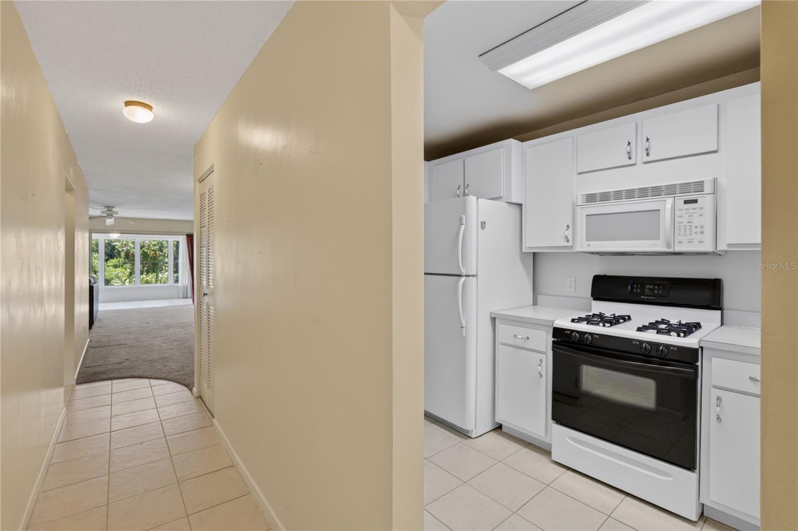 ORCHID SPGS VILL 200 CONDO - Residential