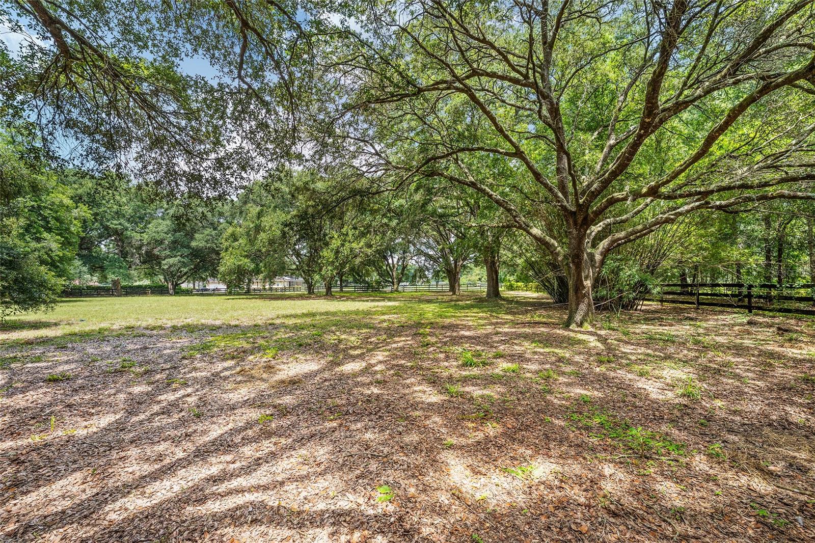 COUNTRYSIDE FARMS/OCALA - Residential